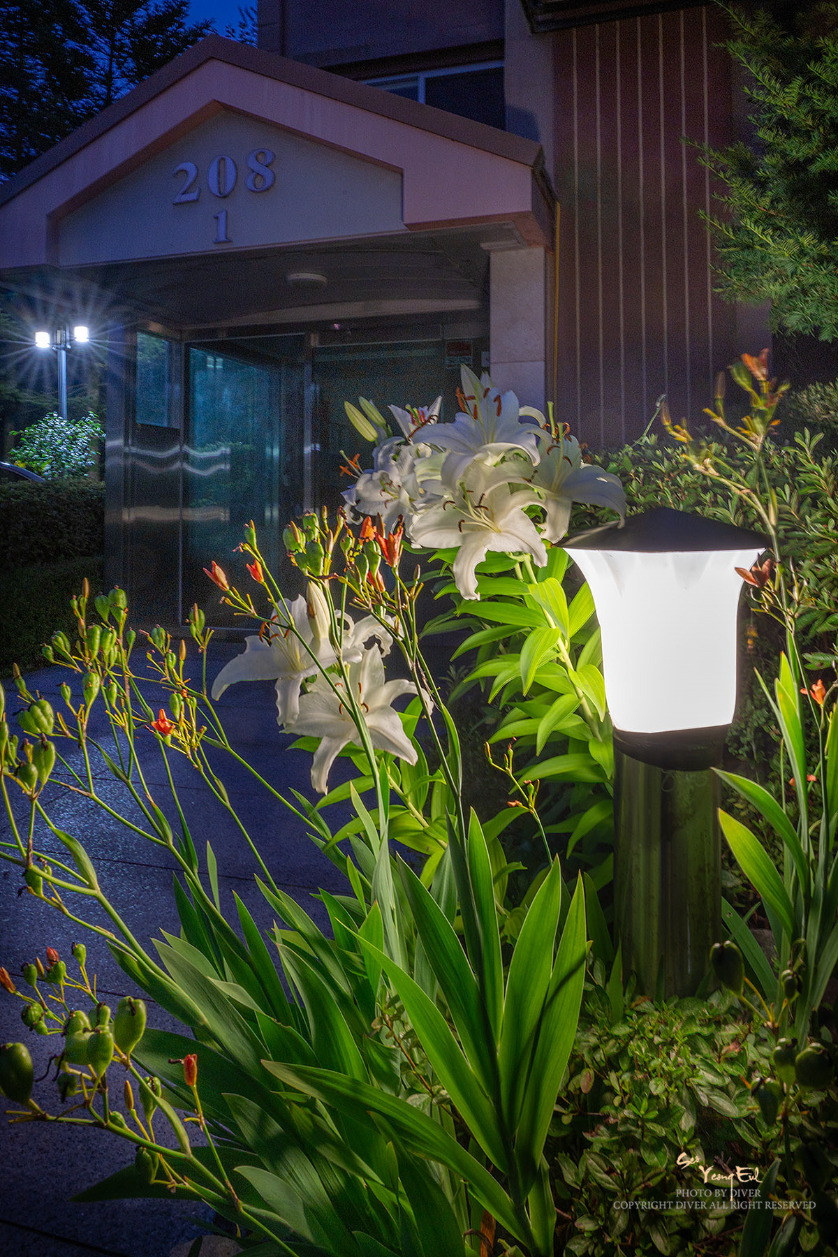 PHOTO BY  | NIKON Z f | 2024:07:21 20:14:19 | ISO-100 | 4/1 sec | f 22 | 22.5 mm | EV=0 | ● WIDTH:1200 pixels  HEIGHT:1800 pixels