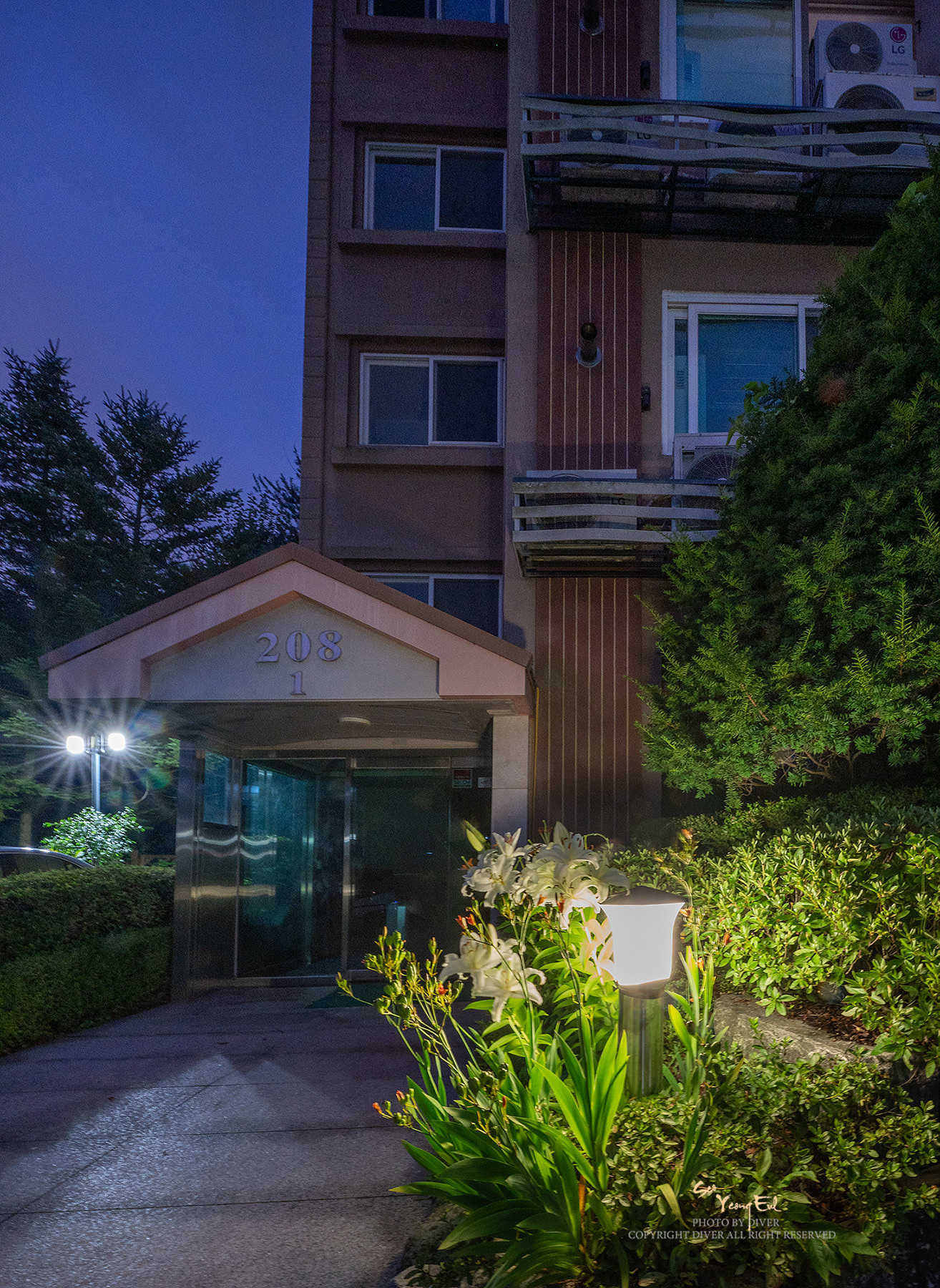 PHOTO BY  | NIKON Z f | 2024:07:21 20:18:09 | ISO-1000 | 4/1 sec | f 22 | 15 mm | EV=0 | ● WIDTH:1314 pixels  HEIGHT:1800 pixels