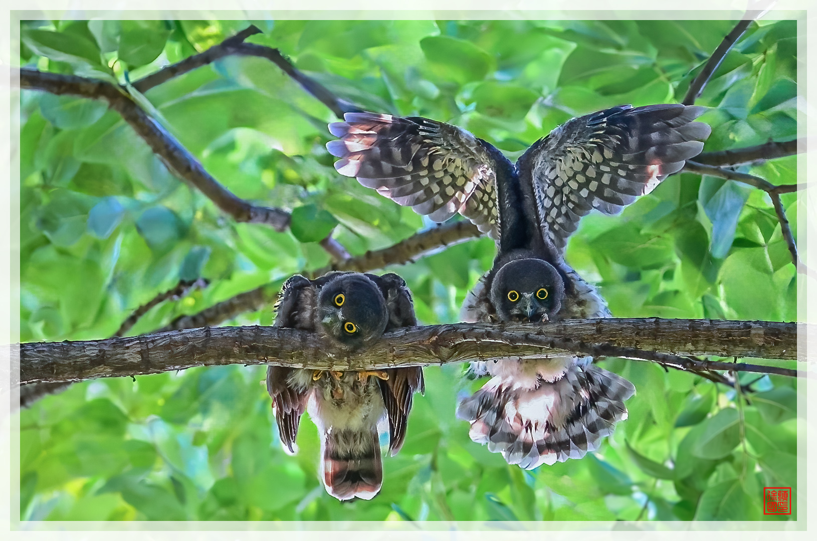   | PHOTO BY : 마운틴s/서진국  |