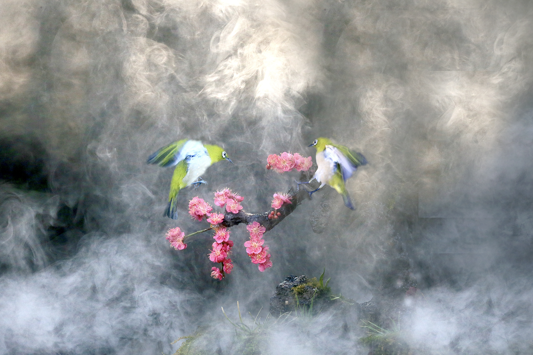 PHOTO BY HNalim | Canon EOS 7D Mark II | 2024:06:22 13:45:38 | ISO-160 | 1/500 sec | f 5.6 | 400 mm | EV=0 | ● WIDTH:1800 pixels  HEIGHT:1200 pixels