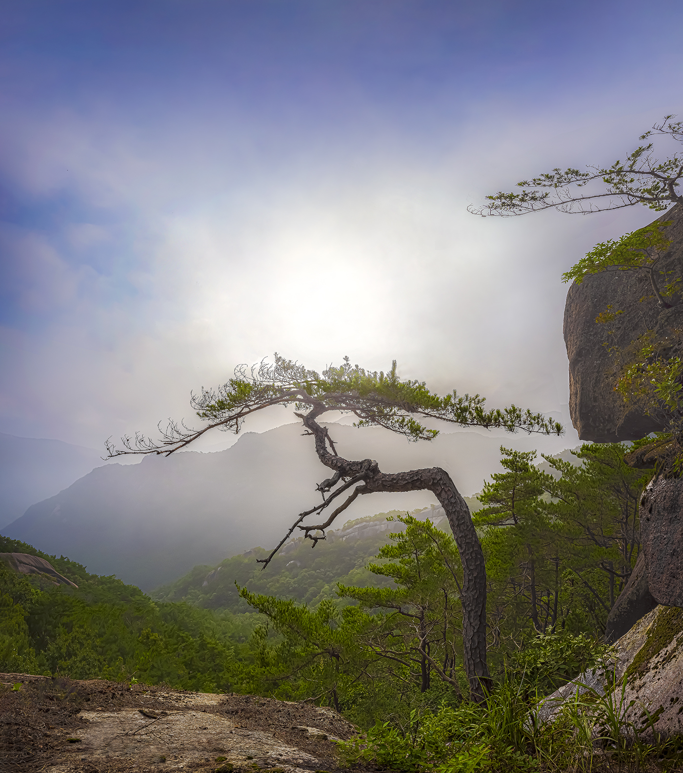 PHOTO BY  | NIKON Z 7_2 | 2024:07:12 07:37:20 | ISO-200 | 1/400 sec | f 11 | 15 mm | EV=0 | ● WIDTH:1400 pixels  HEIGHT:1583 pixels