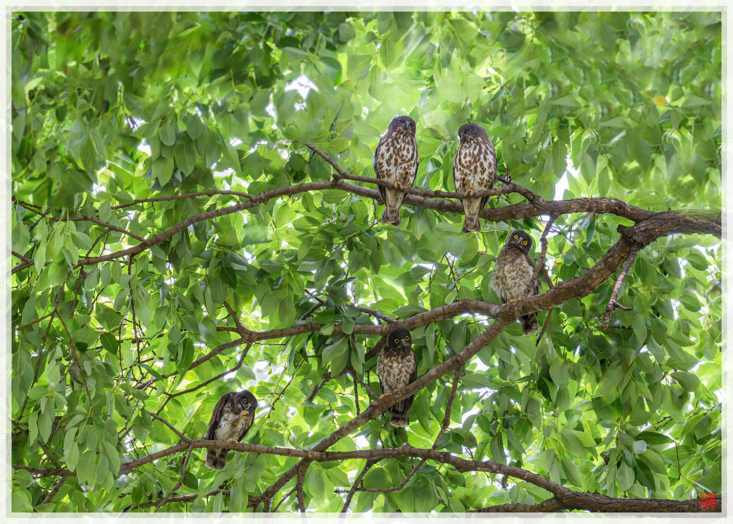 PHOTO BY  | NIKON Z 9 | 2024:07:22 13:59:38 | ISO-20000 | 1/250 sec | f 18 | 240 mm | EV=1 | ● WIDTH:1500 pixels  HEIGHT:1072 pixels