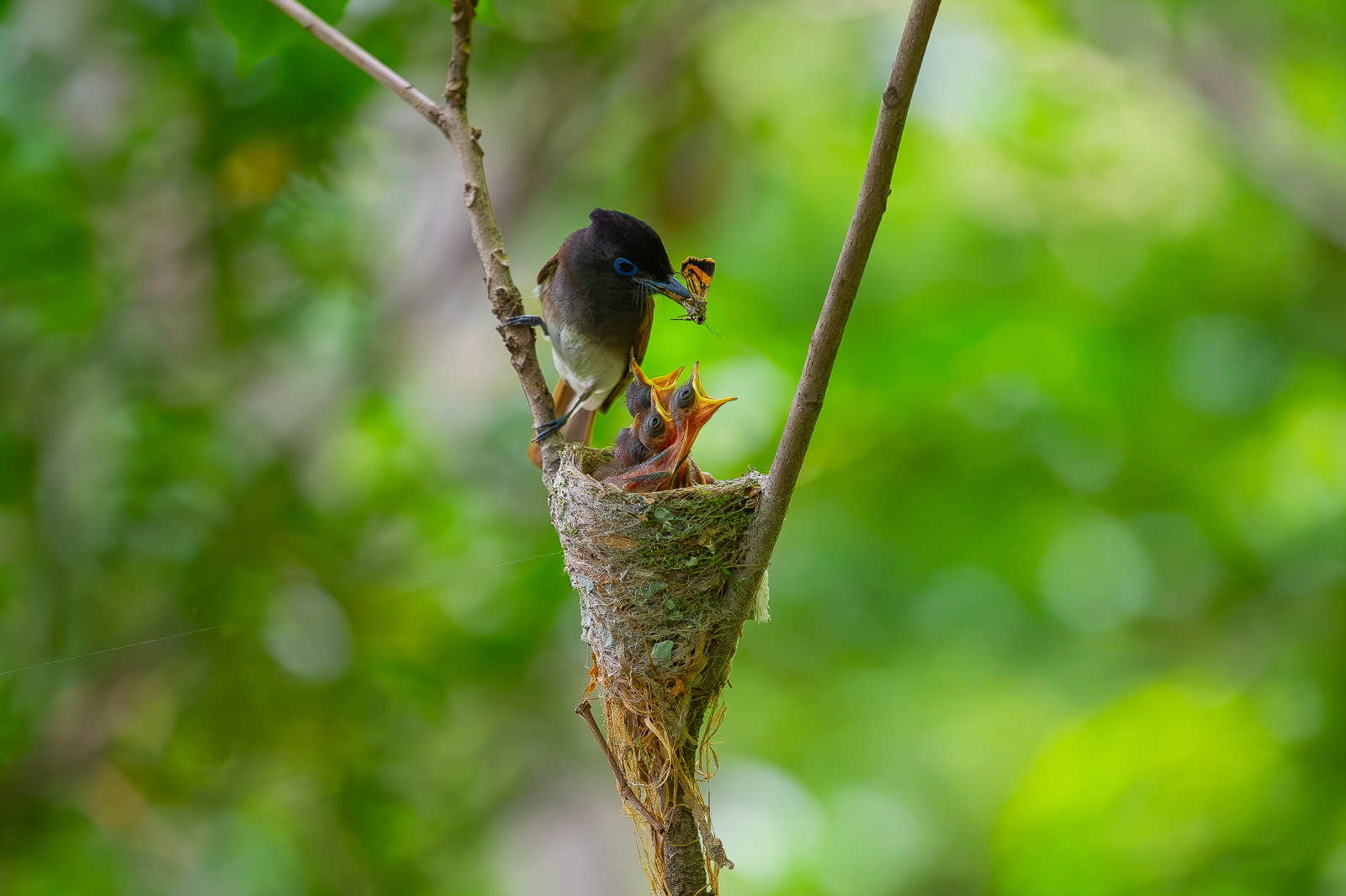 | PHOTO BY : 光陽/김덕수  |