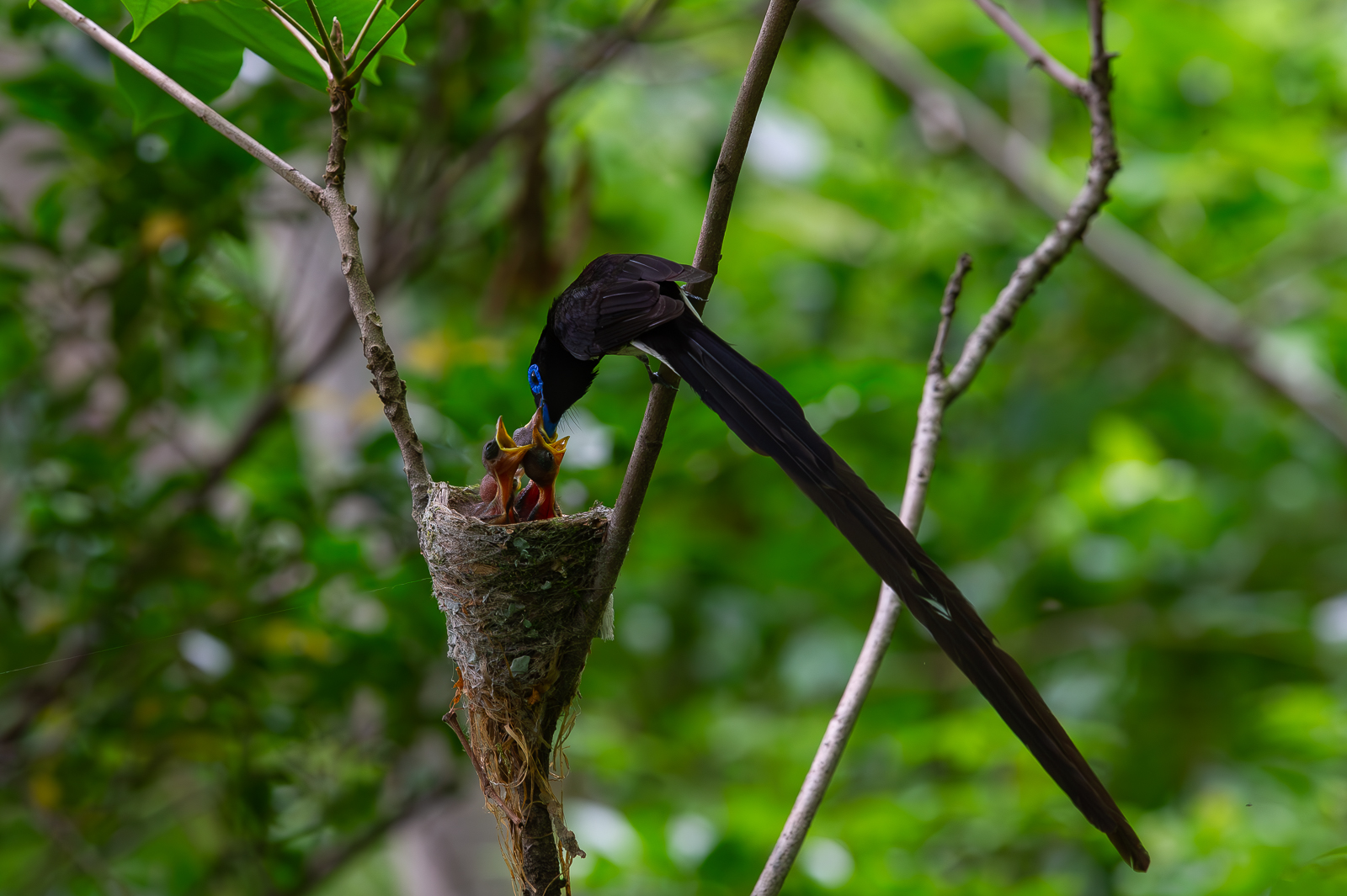 | PHOTO BY : 光陽/김덕수  |