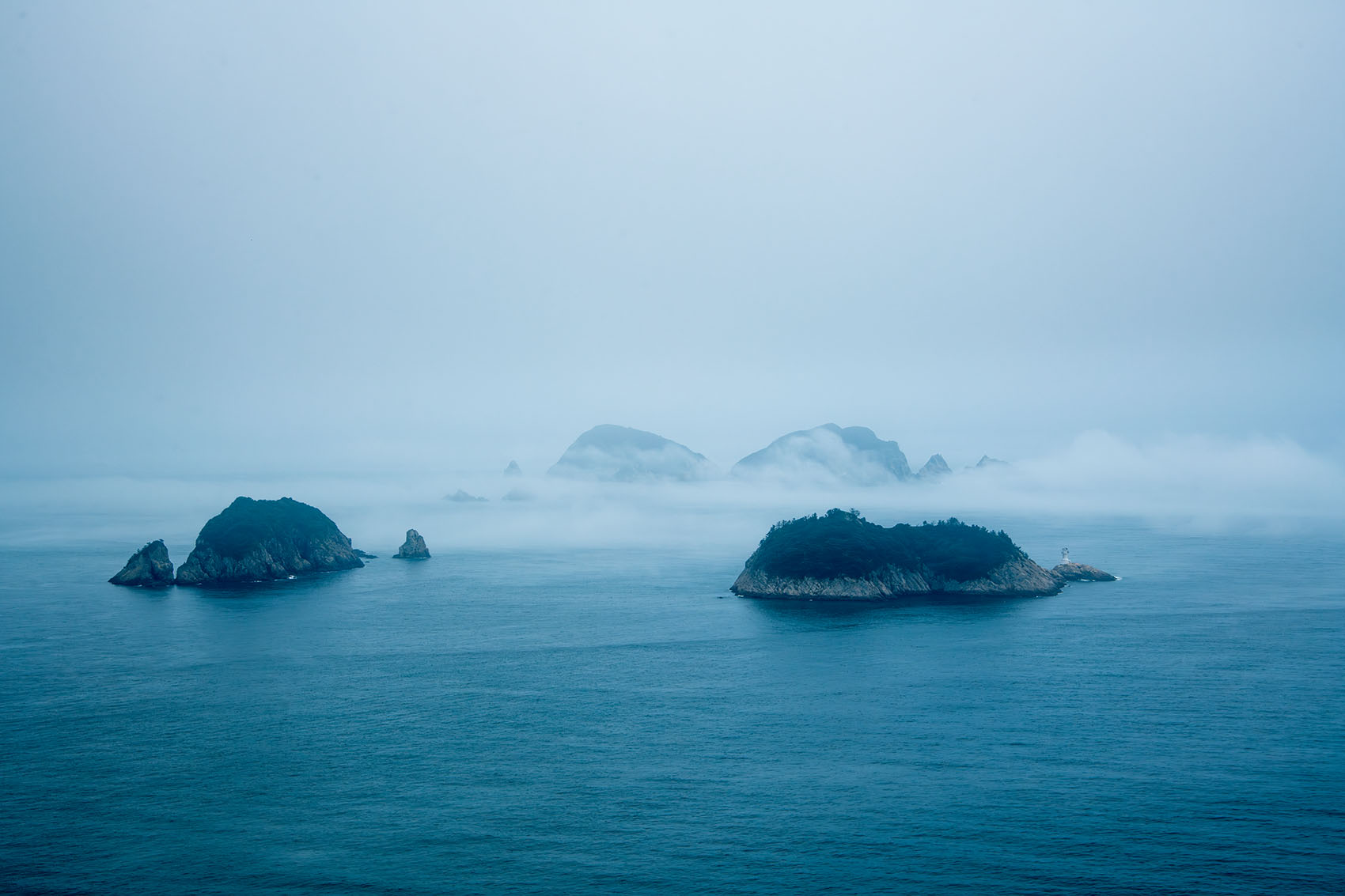 PHOTO BY  | NIKON D850 | 2024:07:20 12:22:50 | ISO-400 | 1/1250 sec | f 13 | 72 mm | EV=0 | ● WIDTH:1700 pixels  HEIGHT:1133 pixels