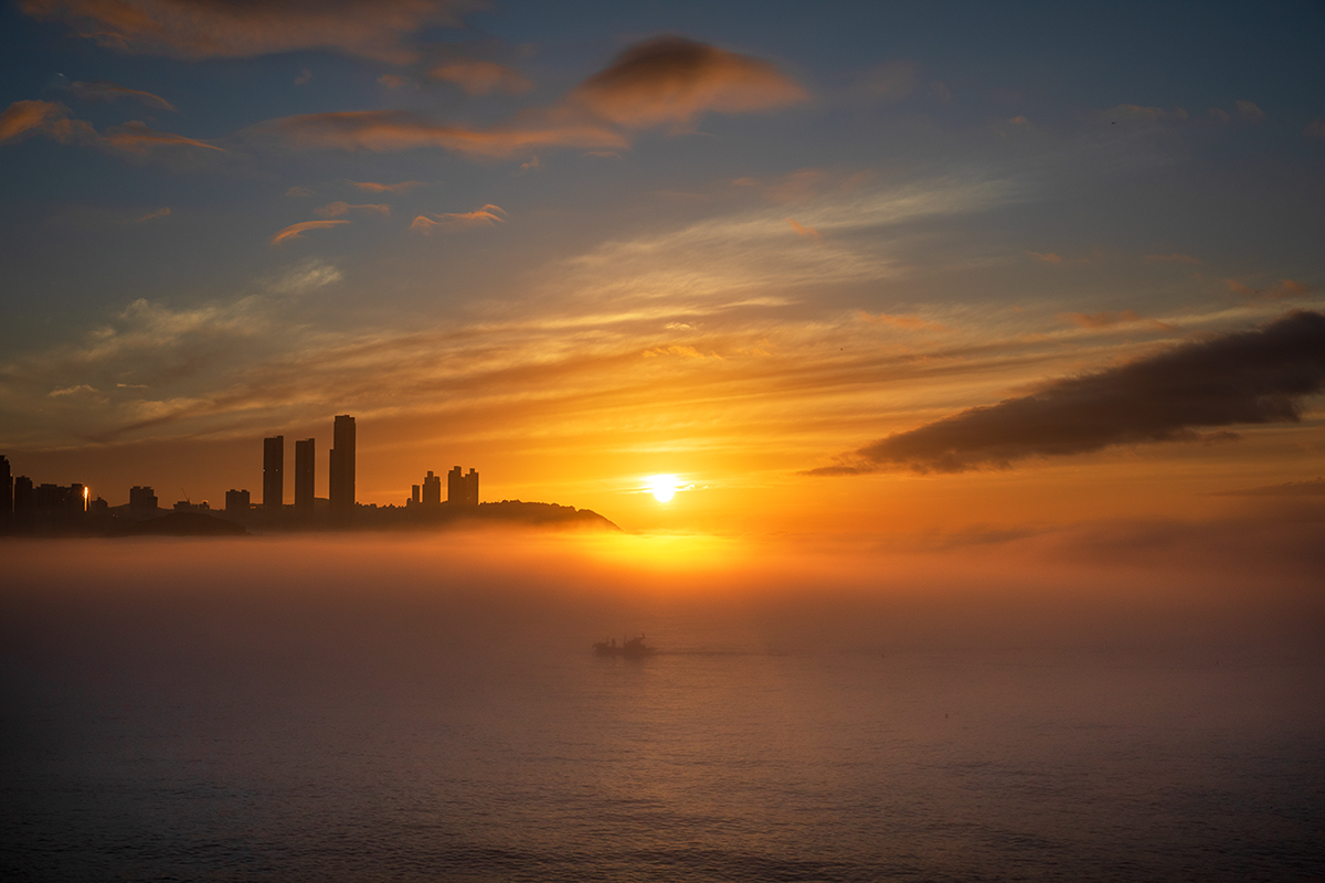 PHOTO BY  | Canon EOS 5D Mark IV | 2024:07:25 05:39:49 | ISO-200 | 1/640 sec | f 8 | 25 mm | EV=0 | ● WIDTH:1200 pixels  HEIGHT:800 pixels