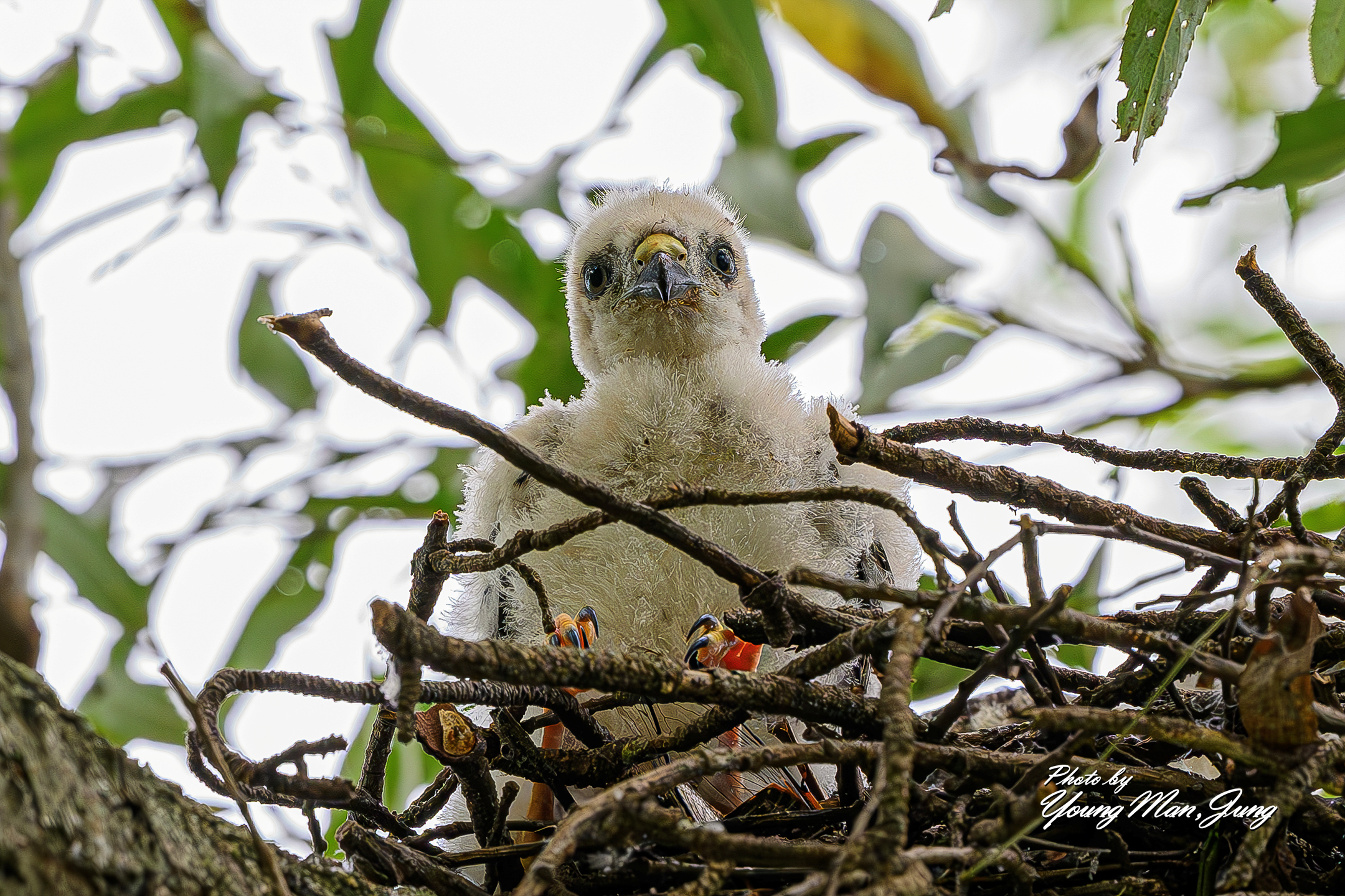   | PHOTO BY : 카파/정영만  |