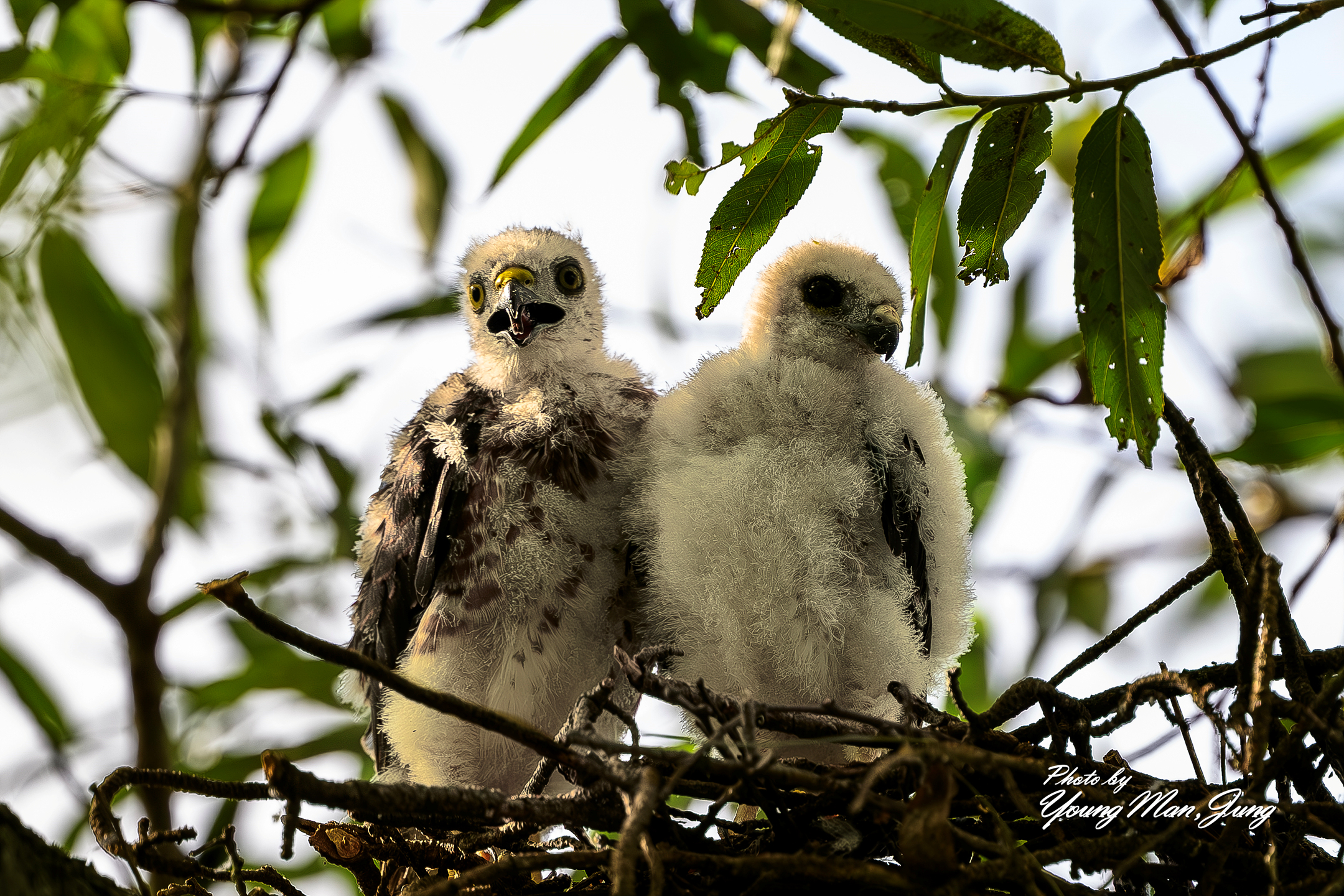   | PHOTO BY : 카파/정영만  |