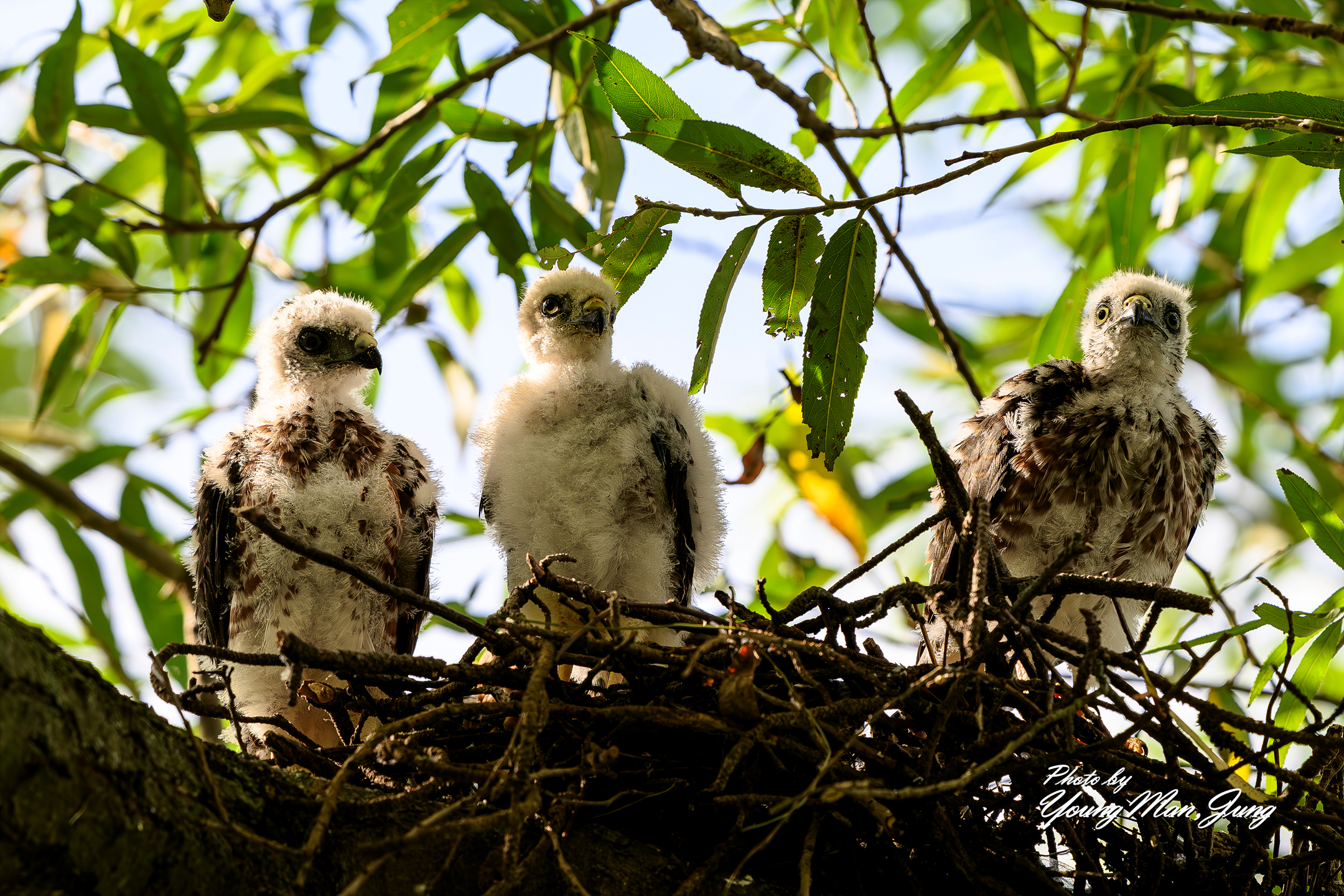   | PHOTO BY : 카파/정영만  |