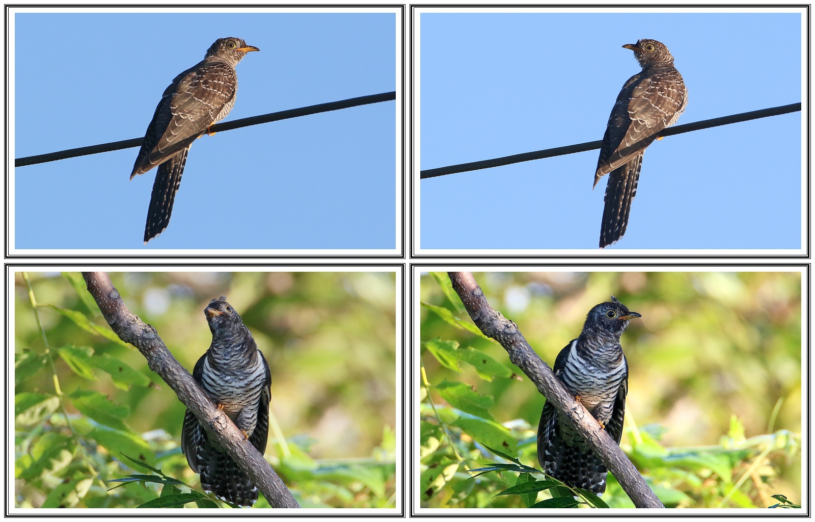   | PHOTO BY : 청산이종원  |