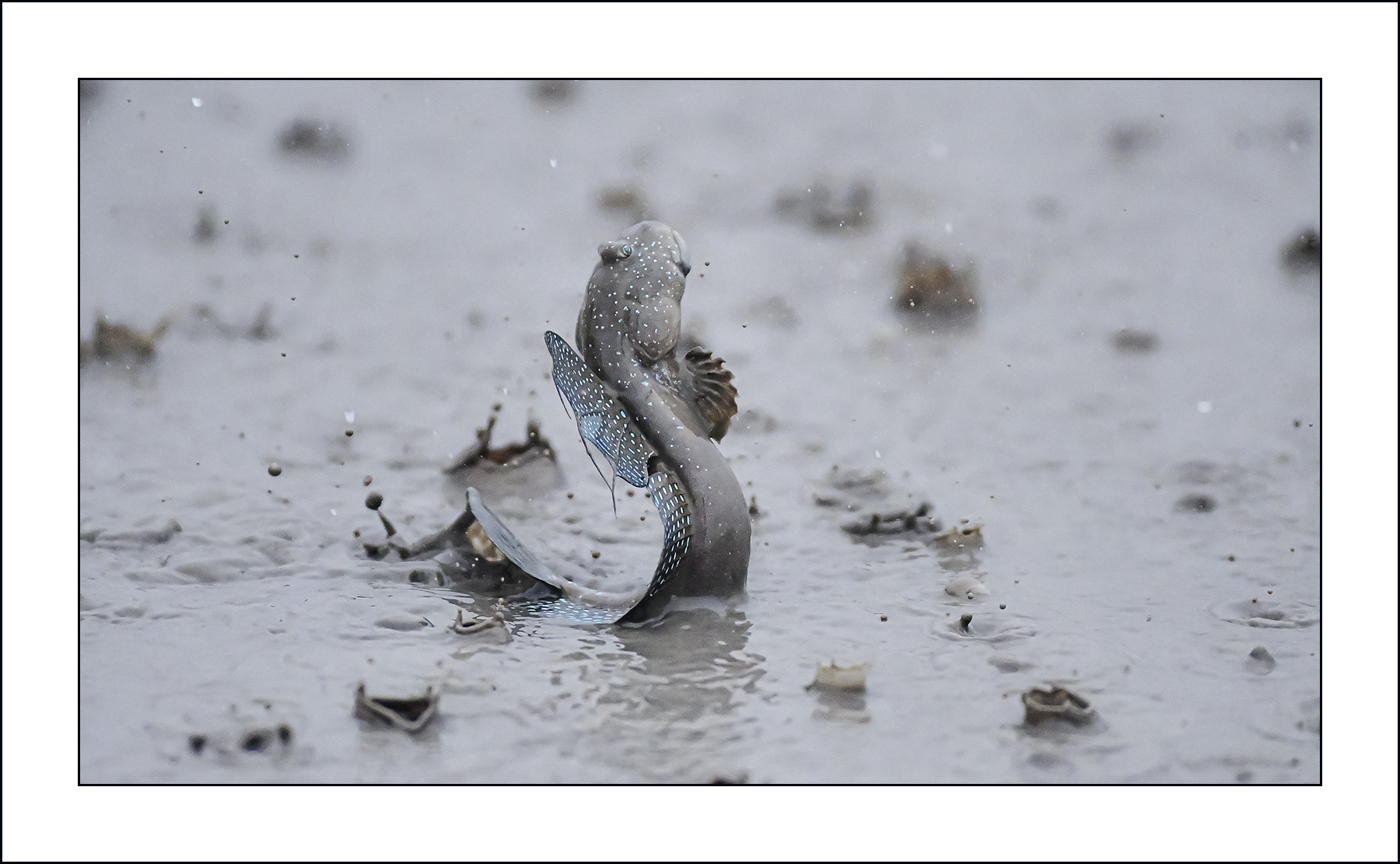   | PHOTO BY : 삿갓/정봉식  |