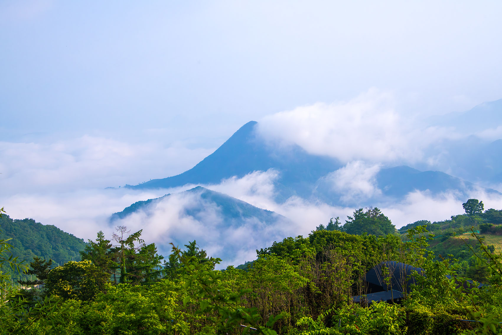 PHOTO BY  | NIKON D850 | 2024:06:16 06:17:14 | ISO-400 | 1/1000 sec | f 11 | 70 mm | EV=0 | ● WIDTH:1700 pixels  HEIGHT:1133 pixels