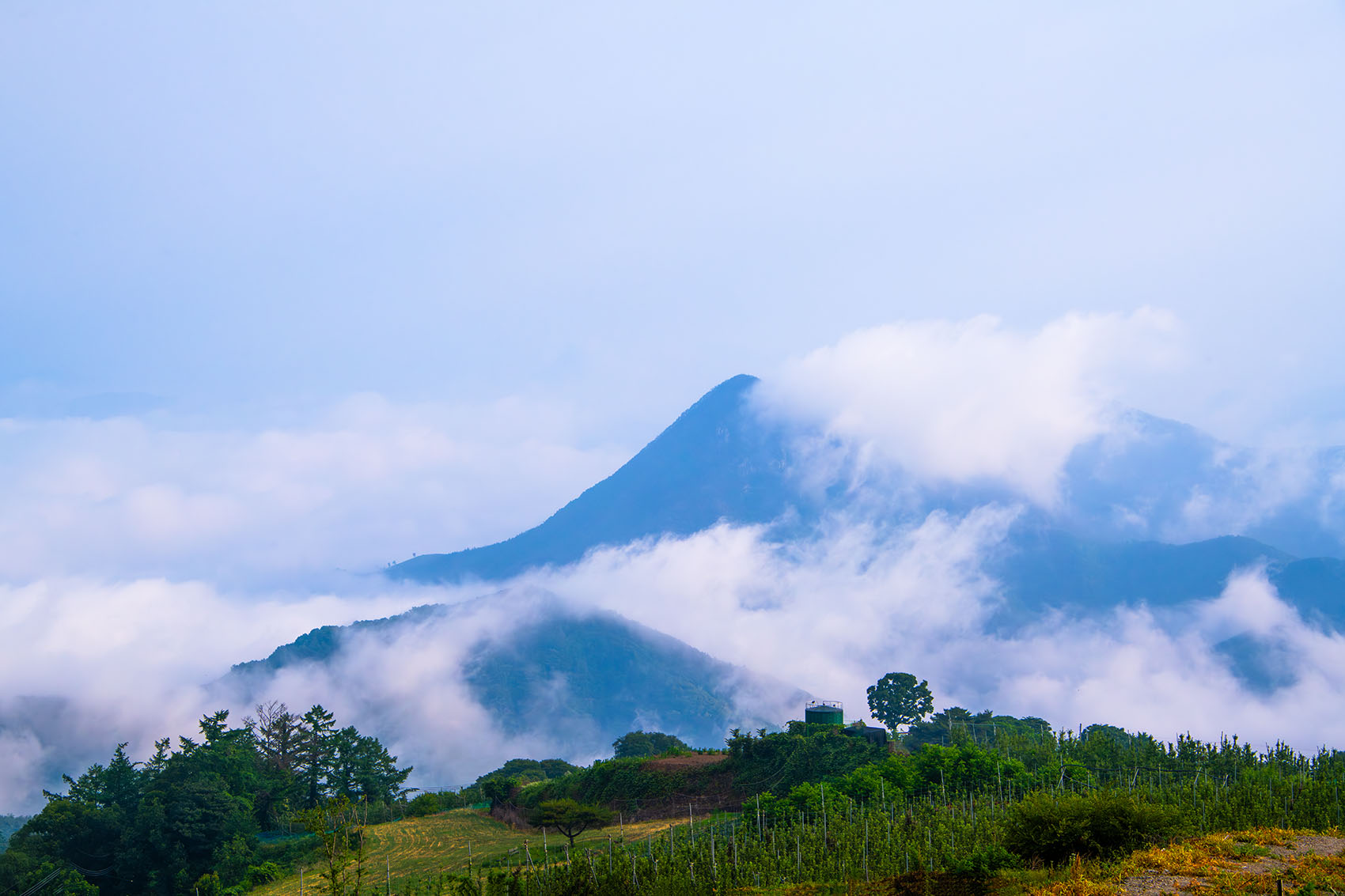 PHOTO BY  | NIKON D850 | 2024:06:16 06:24:34 | ISO-400 | 1/1000 sec | f 13 | 85 mm | EV=0 | ● WIDTH:1700 pixels  HEIGHT:1133 pixels