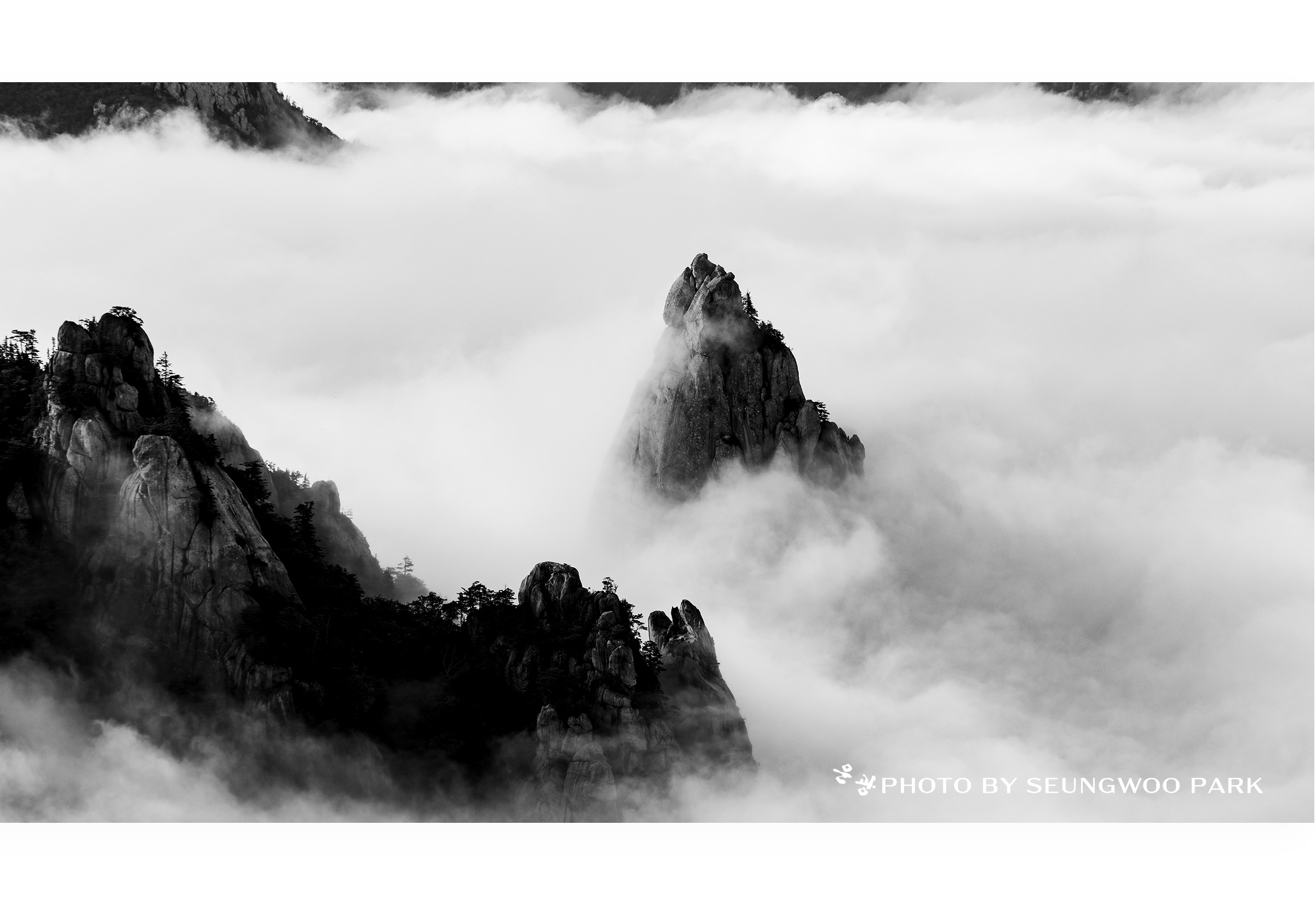 PHOTO BY :07:26 23:48:42photographer
PARK S | CanonCanon |  | ISO- |  |  |  | EV=0 | ● WIDTH:  HEIGHT: