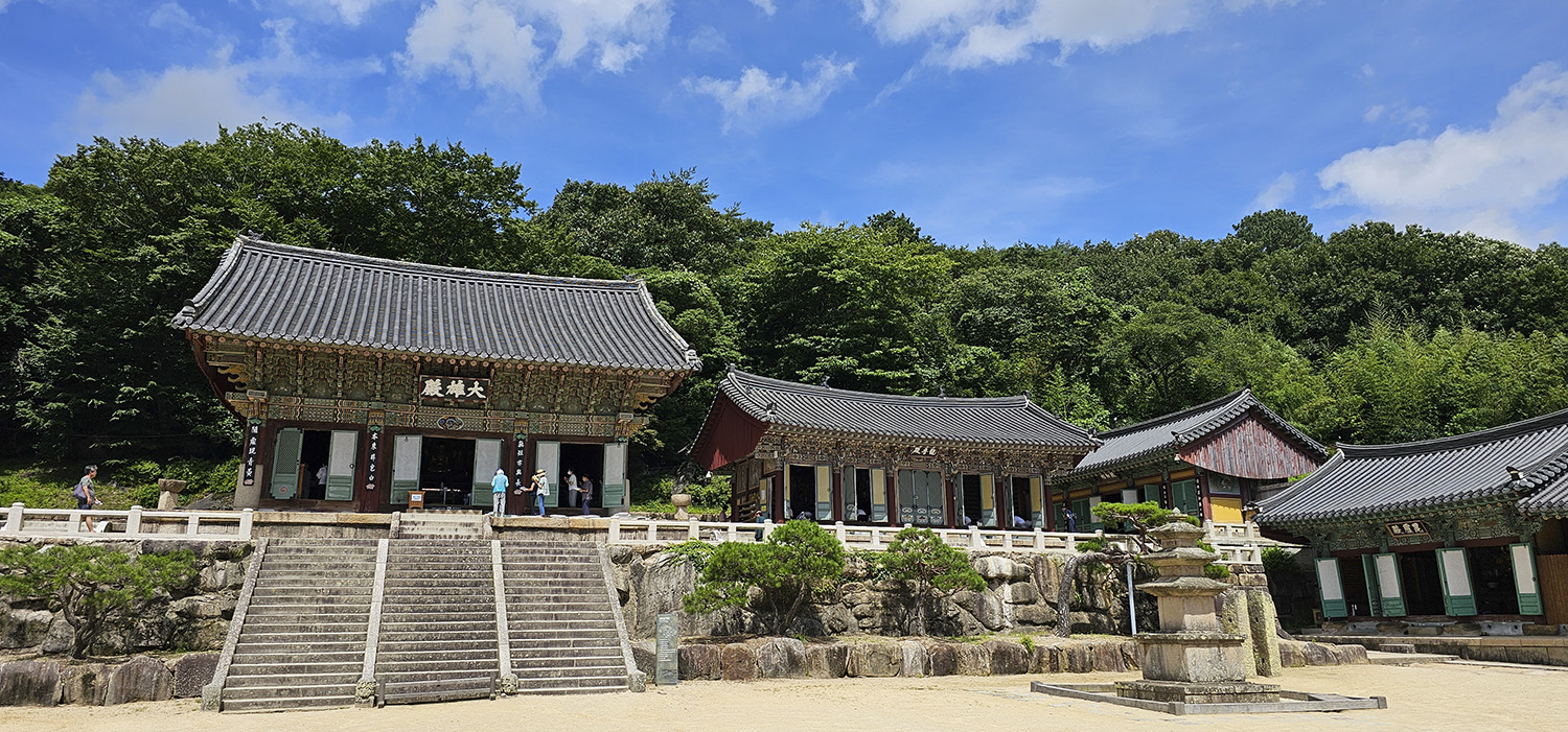 PHOTO BY  | Galaxy S23 Ultra | 2024:07:26 10:32:29 | ISO-10 | 1/1400 sec | f 1.7 | 6.3 mm | EV=0 | ● WIDTH:1500 pixels  HEIGHT:701 pixels