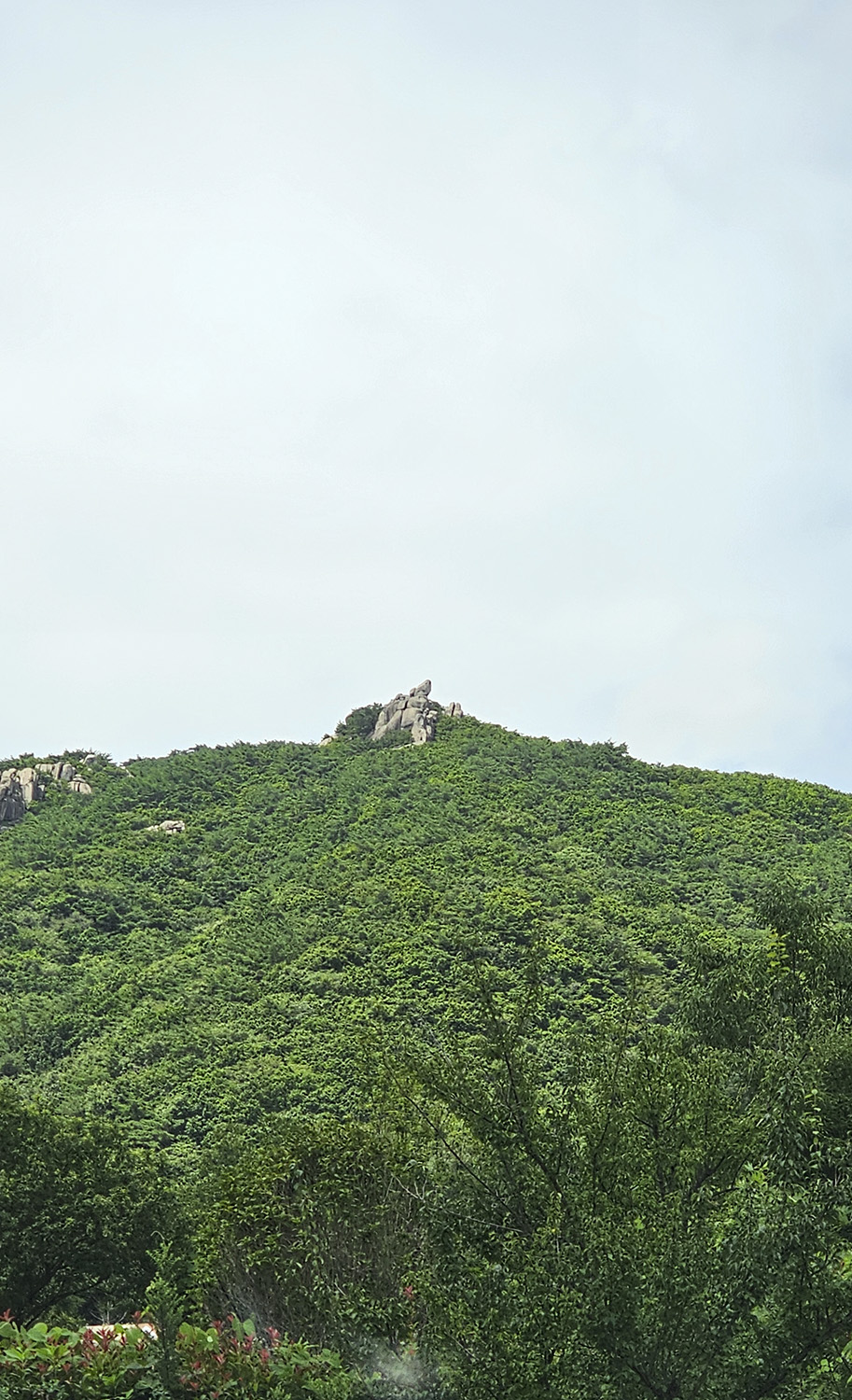 PHOTO BY  | Galaxy S23 Ultra | 2024:07:26 11:05:07 | ISO-50 | 1/900 sec | f 2.4 | 7.9 mm | EV=0 | ● WIDTH:913 pixels  HEIGHT:1500 pixels