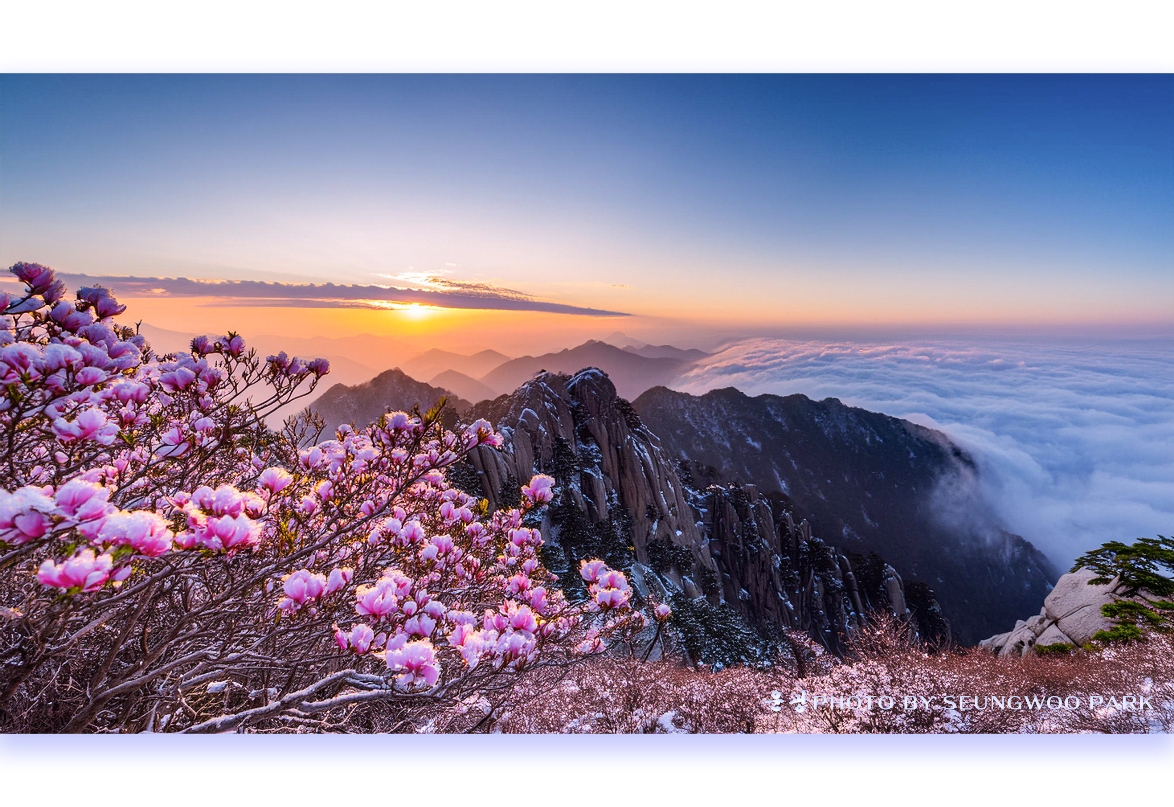   | PHOTO BY : 운광/박승우  |