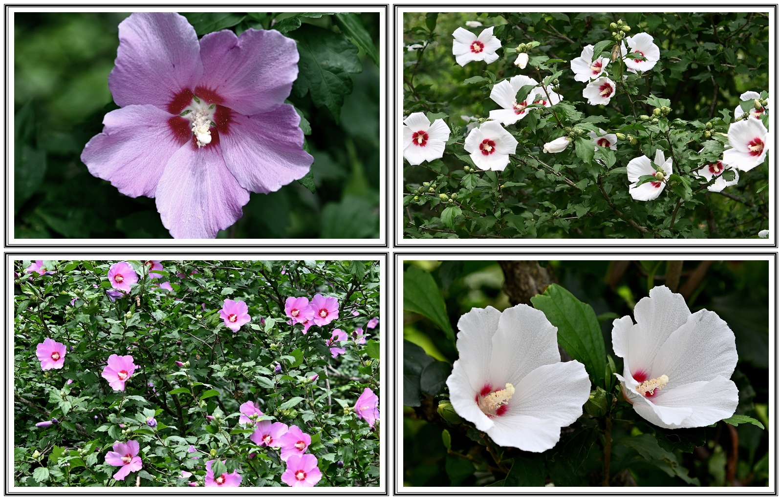   | PHOTO BY : 청산이종원  |