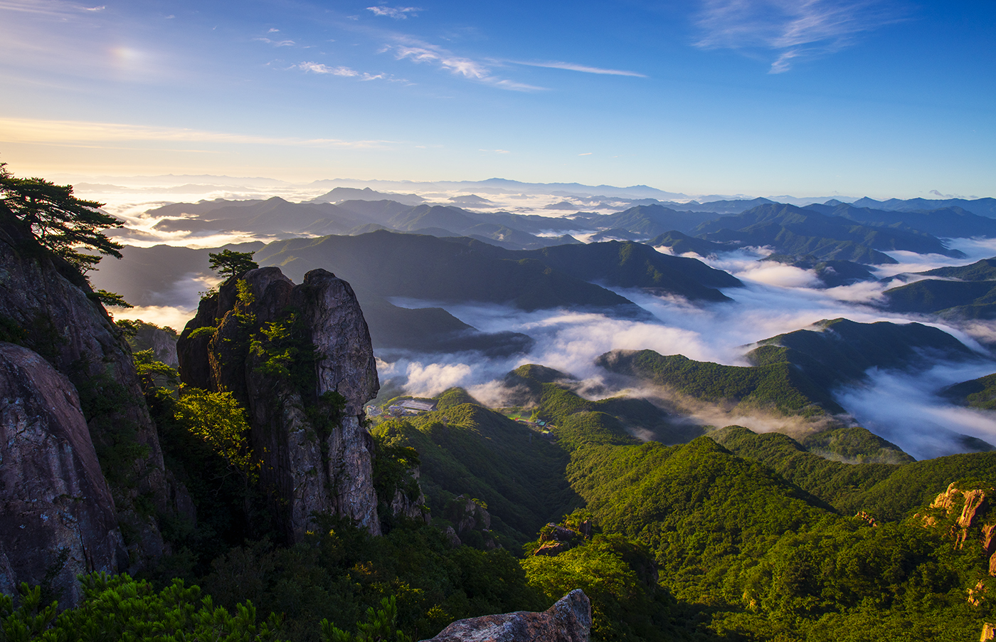 PHOTO BY  | NIKON D850 | 2024:07:25 06:15:26 | ISO-100 | 1/320 sec | f 8 | 20 mm | EV=-2.3 | ● WIDTH:1400 pixels  HEIGHT:902 pixels