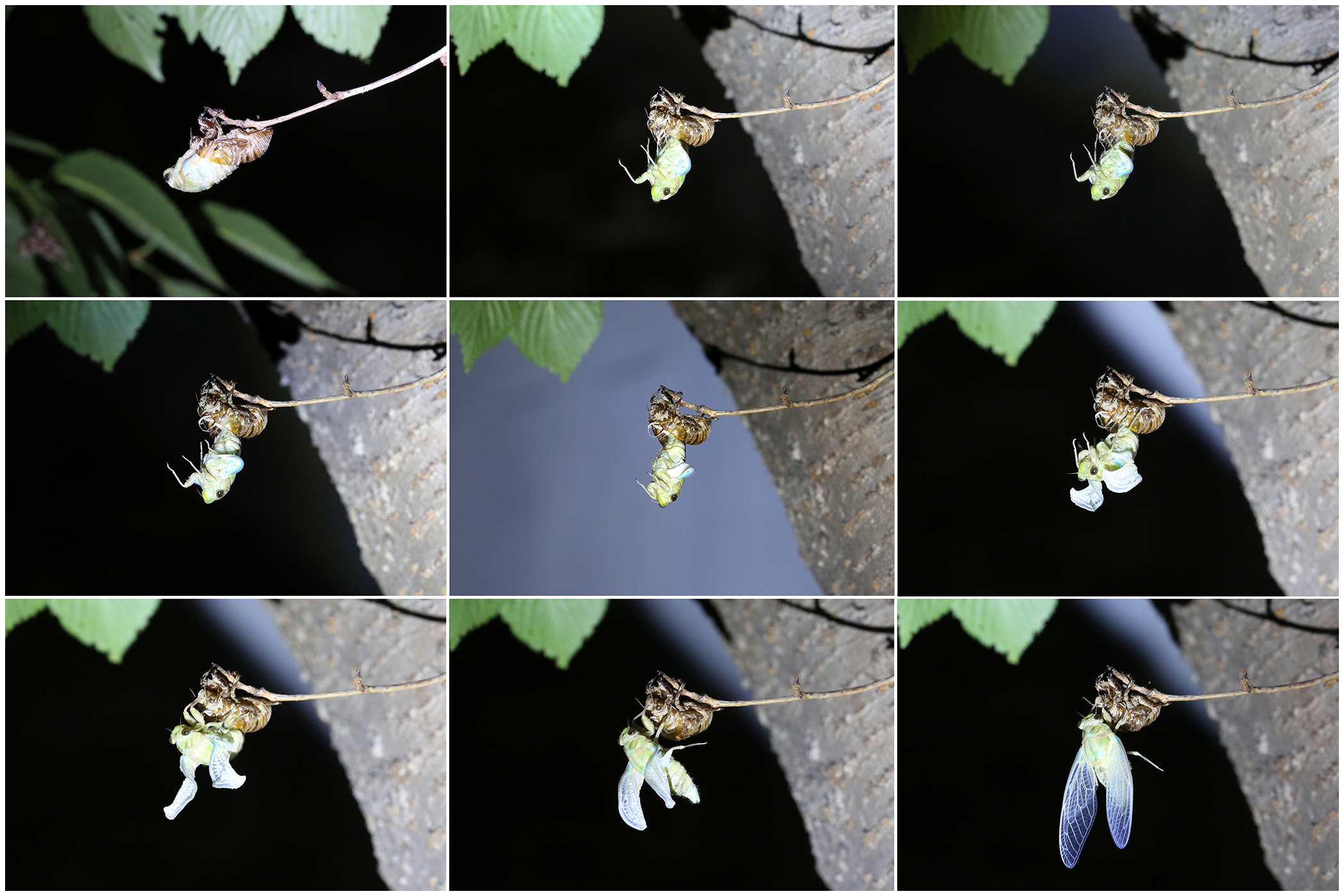   | PHOTO BY : Photo No Data |