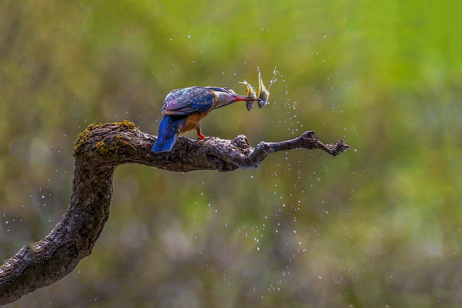 PHOTO BY  | CanonCanon |  | ISO- |  |  |  | EV=0 | ● WIDTH:  HEIGHT: