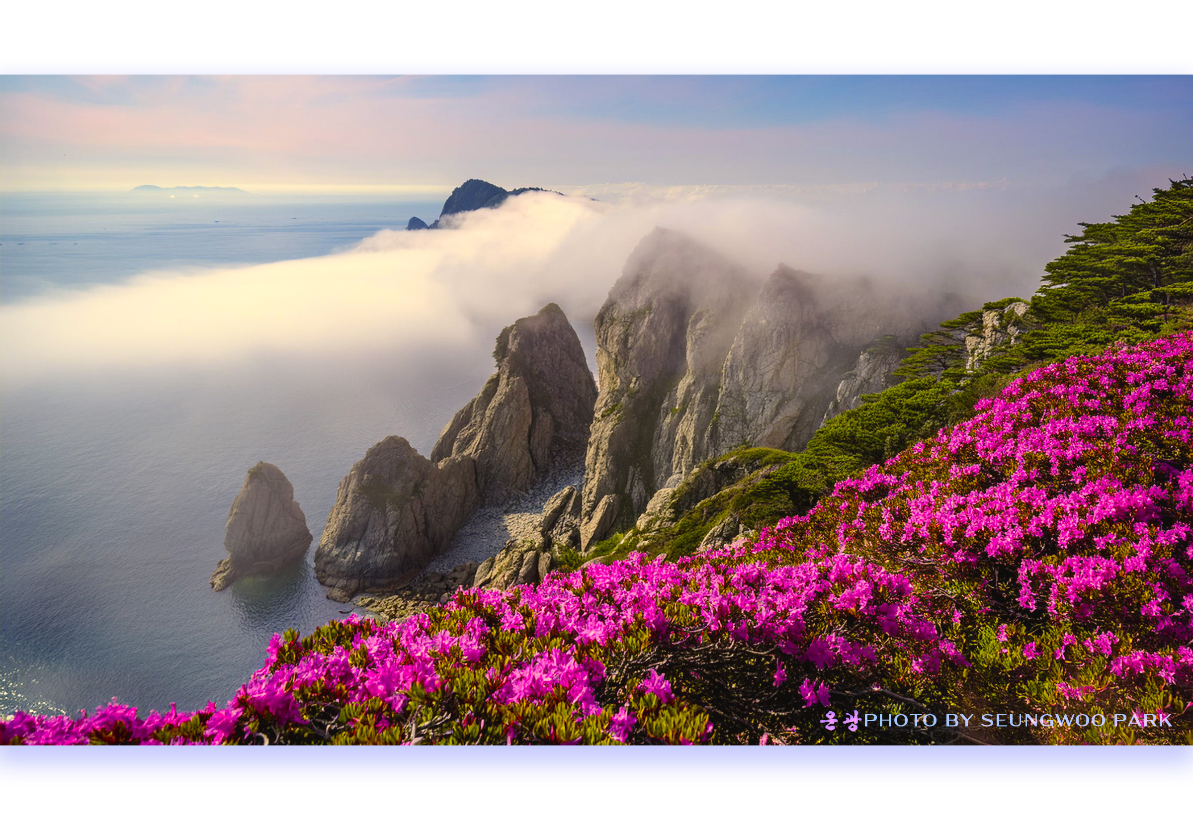   | PHOTO BY : 운광/박승우  |