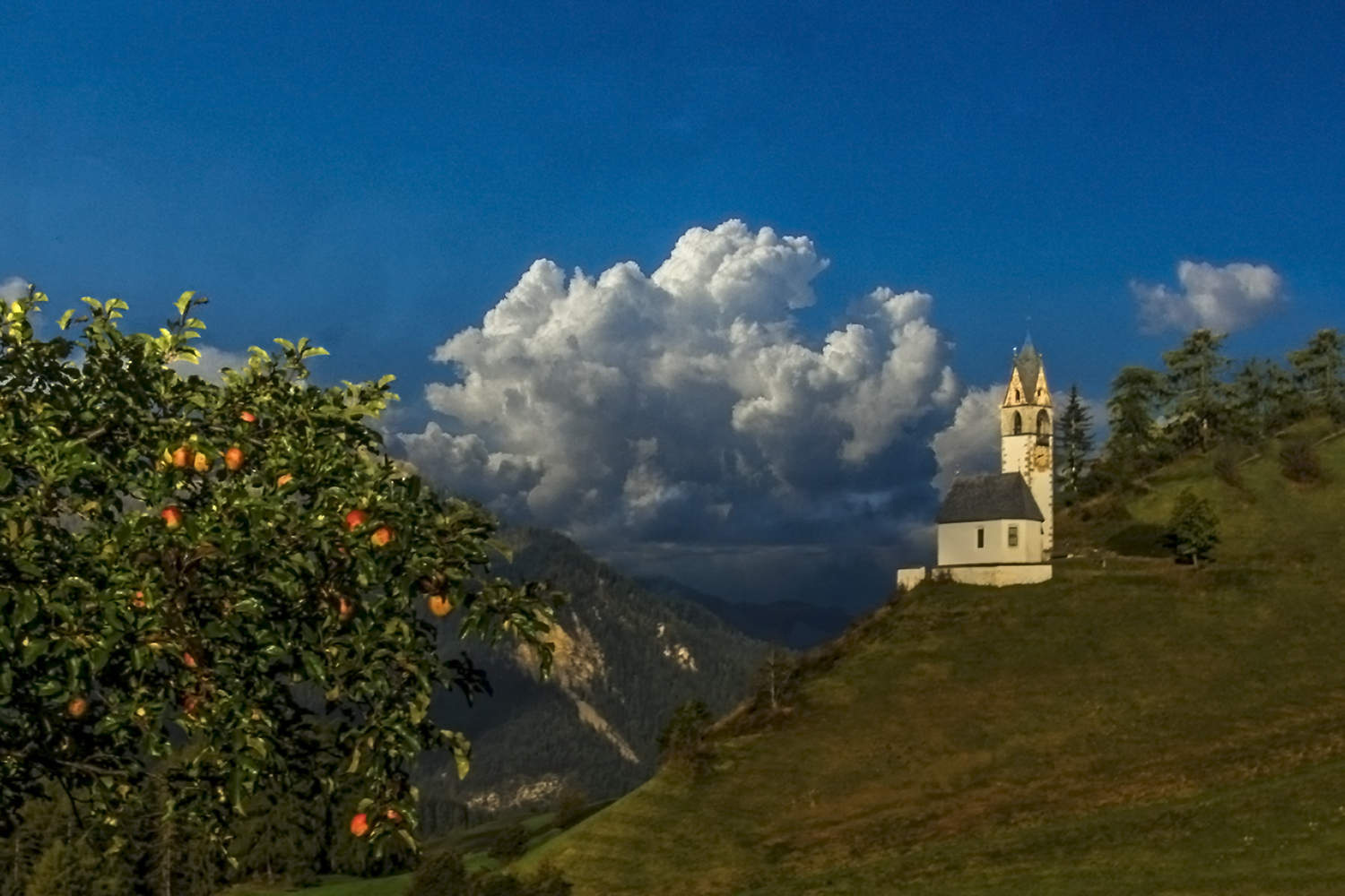 PHOTO BY  | Can |  | ISO- |  |  |  | EV=0 | ● WIDTH:  HEIGHT: