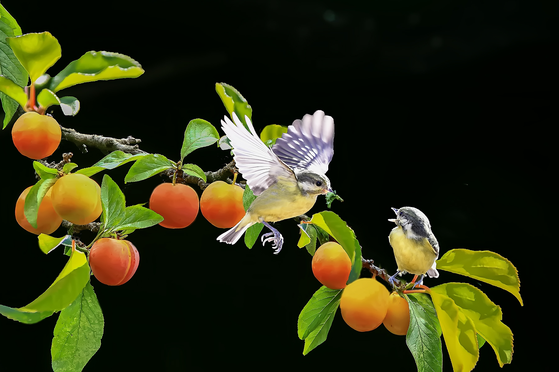 PHOTO BY ChoiJunqSeop | Canon EOS-1D X Mark II | 2024:07:21 08:45:51 | ISO-800 | 1/800 sec | f 6.3 | 150 mm | EV=0 | ● WIDTH:1800 pixels  HEIGHT:1200 pixels