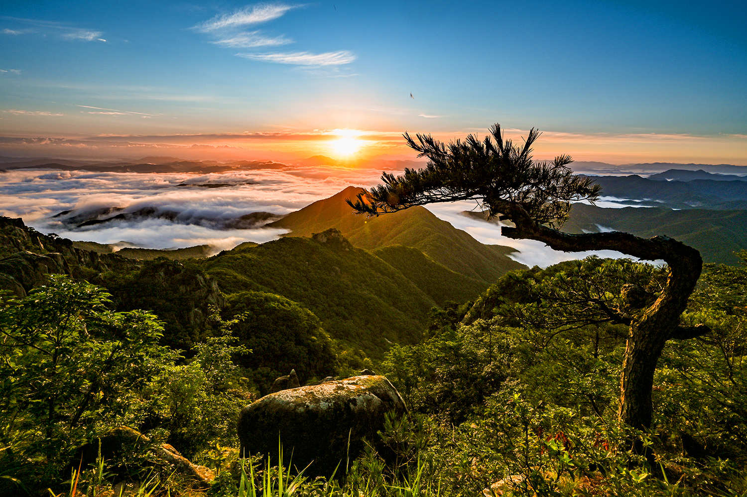 PHOTO BY  | NIKON Z 6_2 | 2024:07:25 05:46:54 | ISO-200 | 1/60 sec | f 16 | 15 mm | EV=-0.7 | ● WIDTH:1500 pixels  HEIGHT:998 pixels