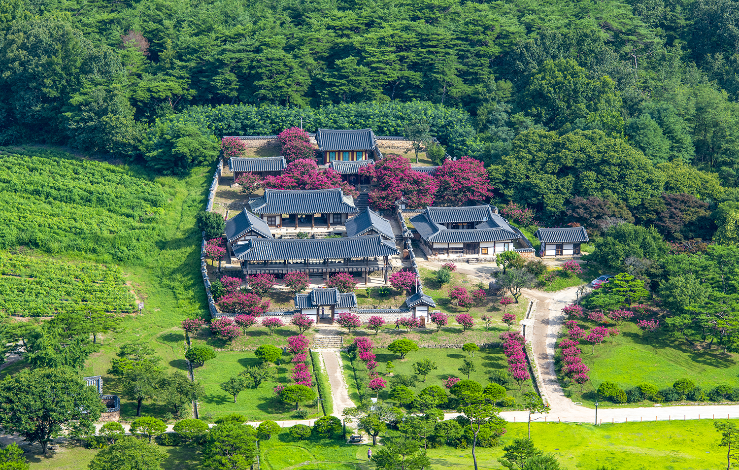 PHOTO BY  | NIKON D850 | 2024:07:28 08:27:45 | ISO-200 | 1/400 sec | f 8 | 135 mm | EV=-0.3 | ● WIDTH:1500 pixels  HEIGHT:954 pixels