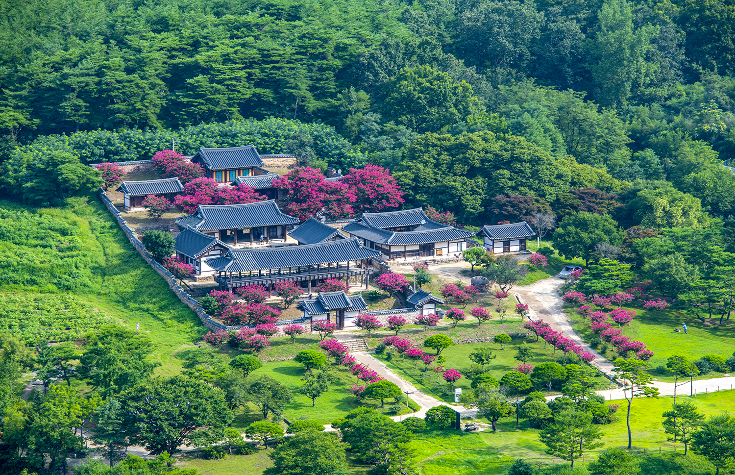 PHOTO BY  | NIKON D850 | 2024:07:28 08:13:51 | ISO-200 | 1/200 sec | f 8 | 155 mm | EV=-0.3 | ● WIDTH:1500 pixels  HEIGHT:969 pixels