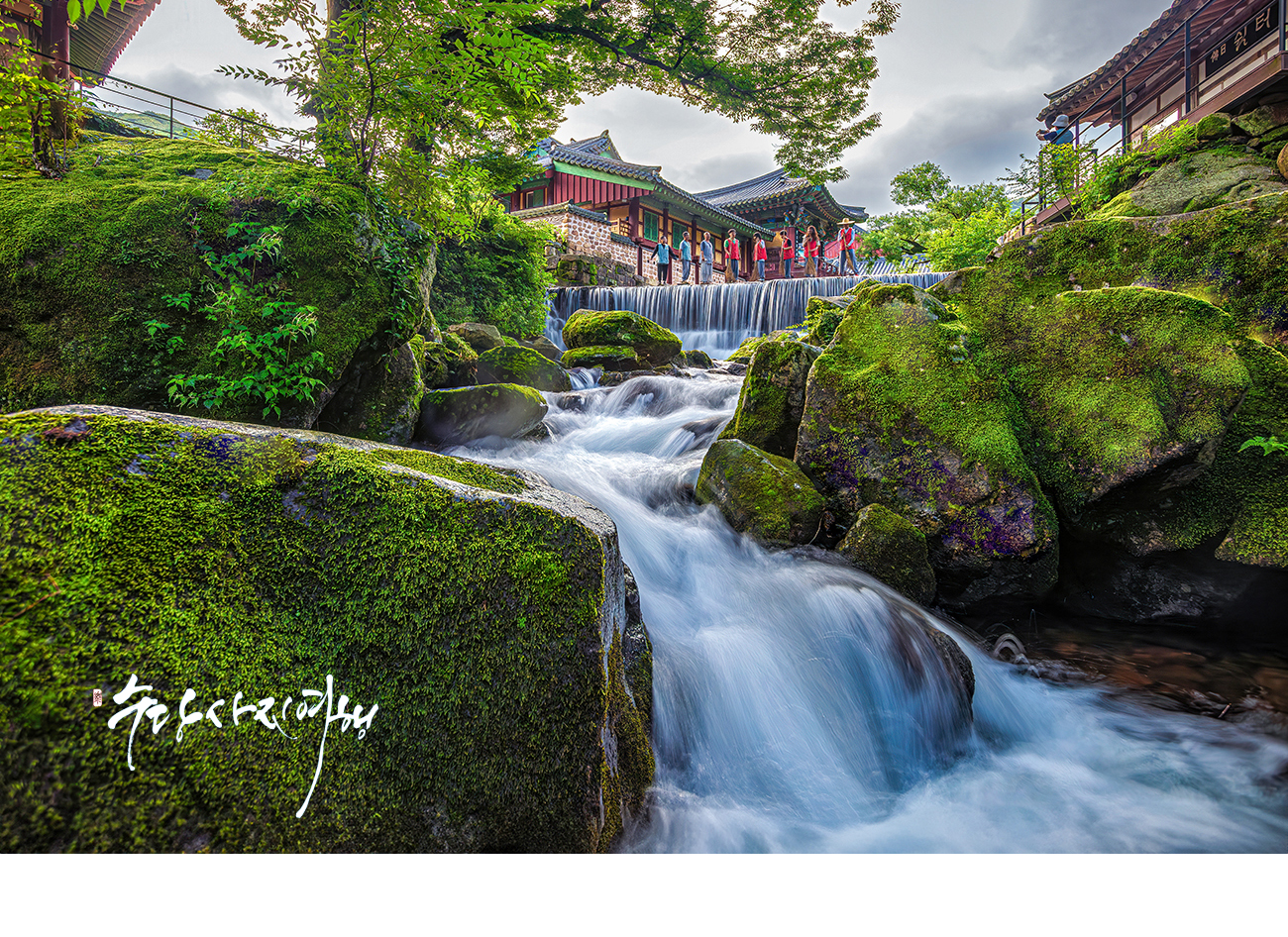   | PHOTO BY : 수당/박상돈  |