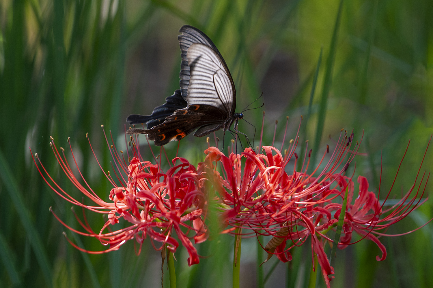 PHOTO BY  | CanonCanon  |  | ISO- |  |  |  | EV=0 | ● WIDTH:  HEIGHT: