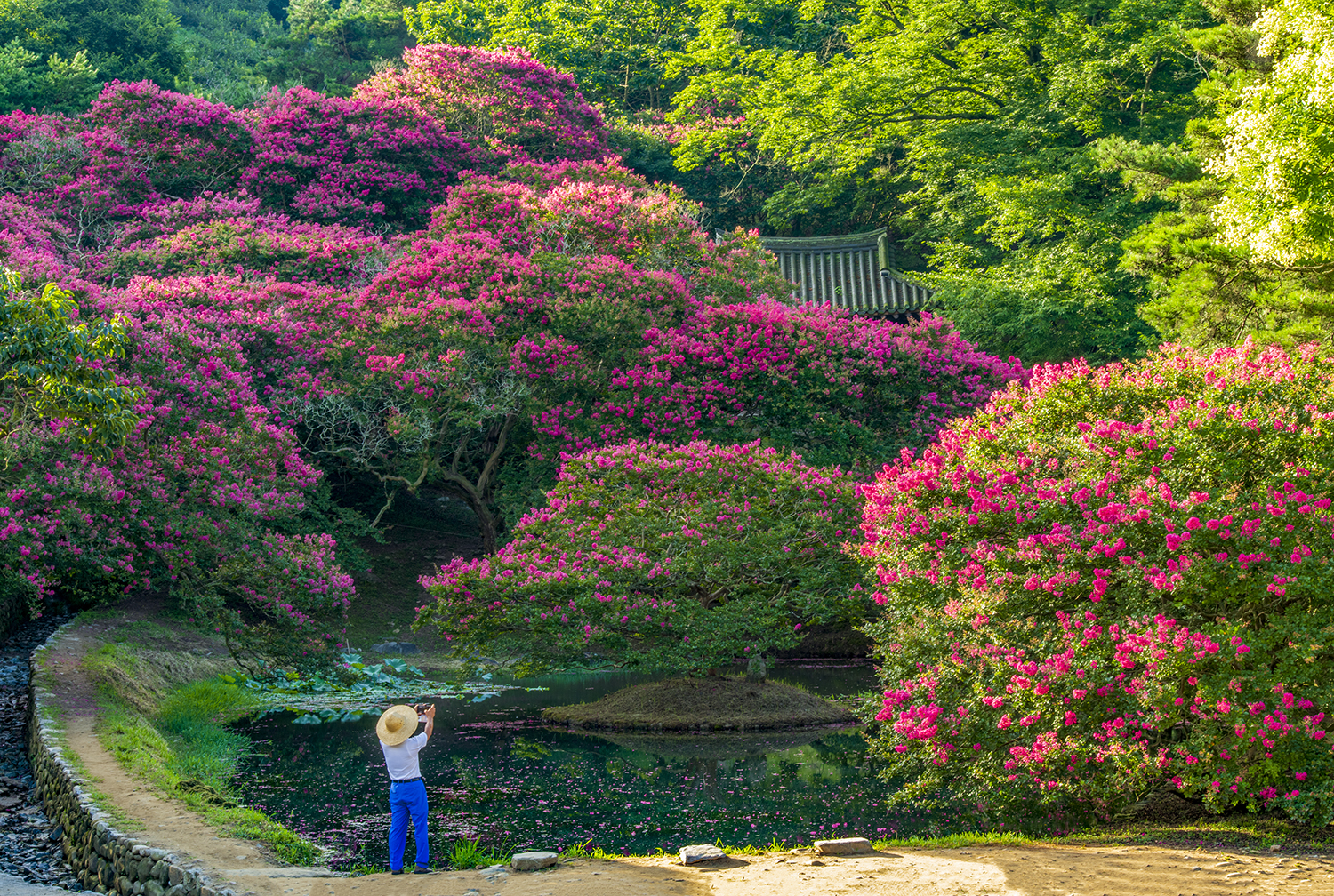 PHOTO BY  | NIKON D850 | 2024:07:30 07:10:39 | ISO-100 | 1/4 sec | f 22 | 90 mm | EV=0 | ● WIDTH:1500 pixels  HEIGHT:1008 pixels