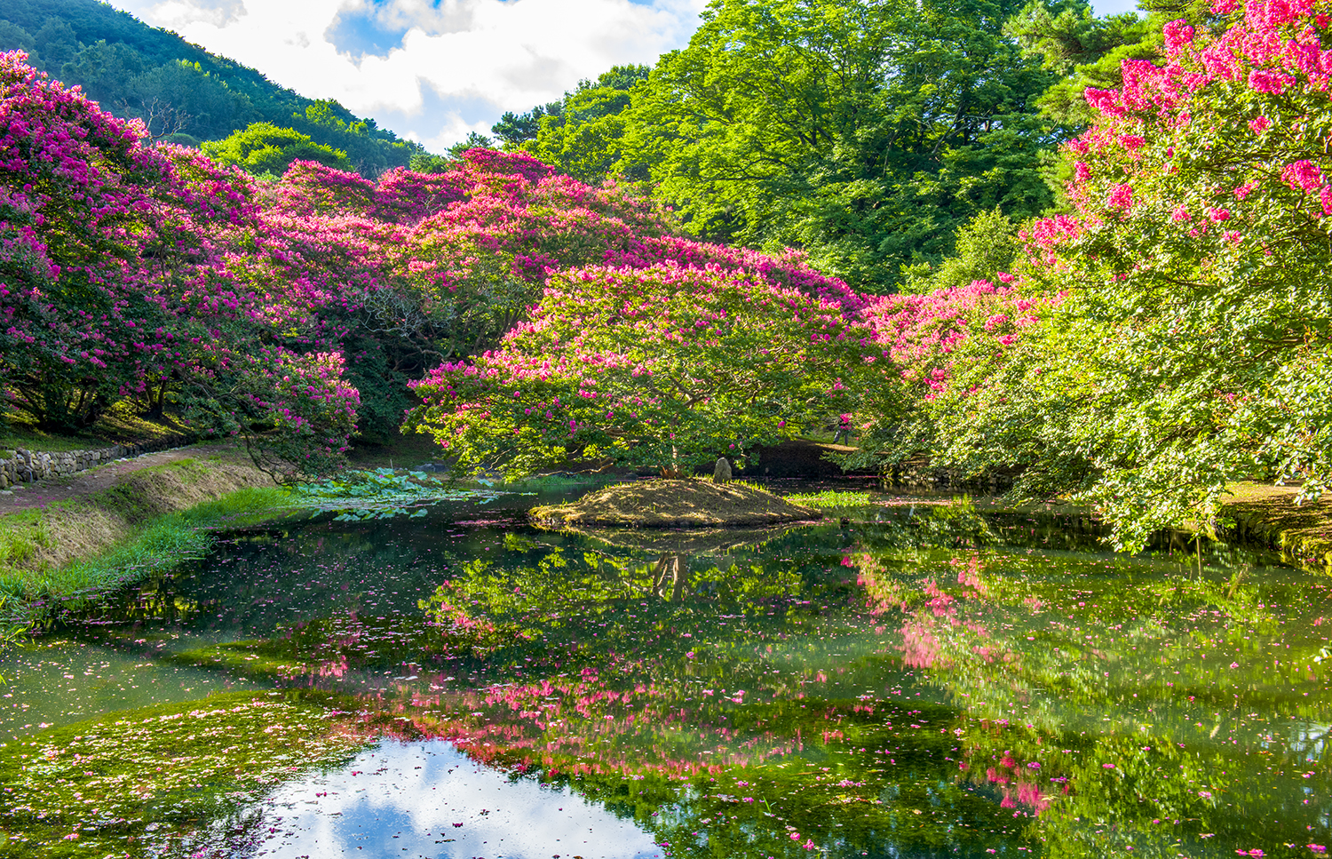 PHOTO BY  | NIKON D850 | 2024:07:30 07:43:48 | ISO-100 | 1/8 sec | f 22 | 36 mm | EV=0 | ● WIDTH:1500 pixels  HEIGHT:967 pixels