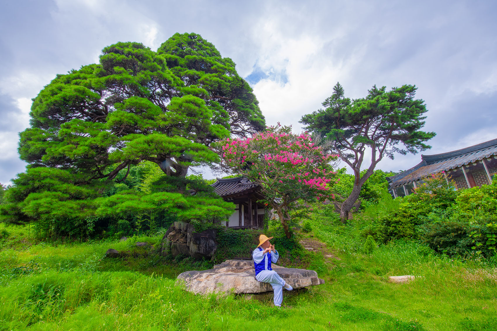 PHOTO BY  | NIKON D850 | 2024:07:27 13:32:14 | ISO-400 | 1/100 sec | f 20 | 17 mm | EV=0 | ● WIDTH:1700 pixels  HEIGHT:1133 pixels