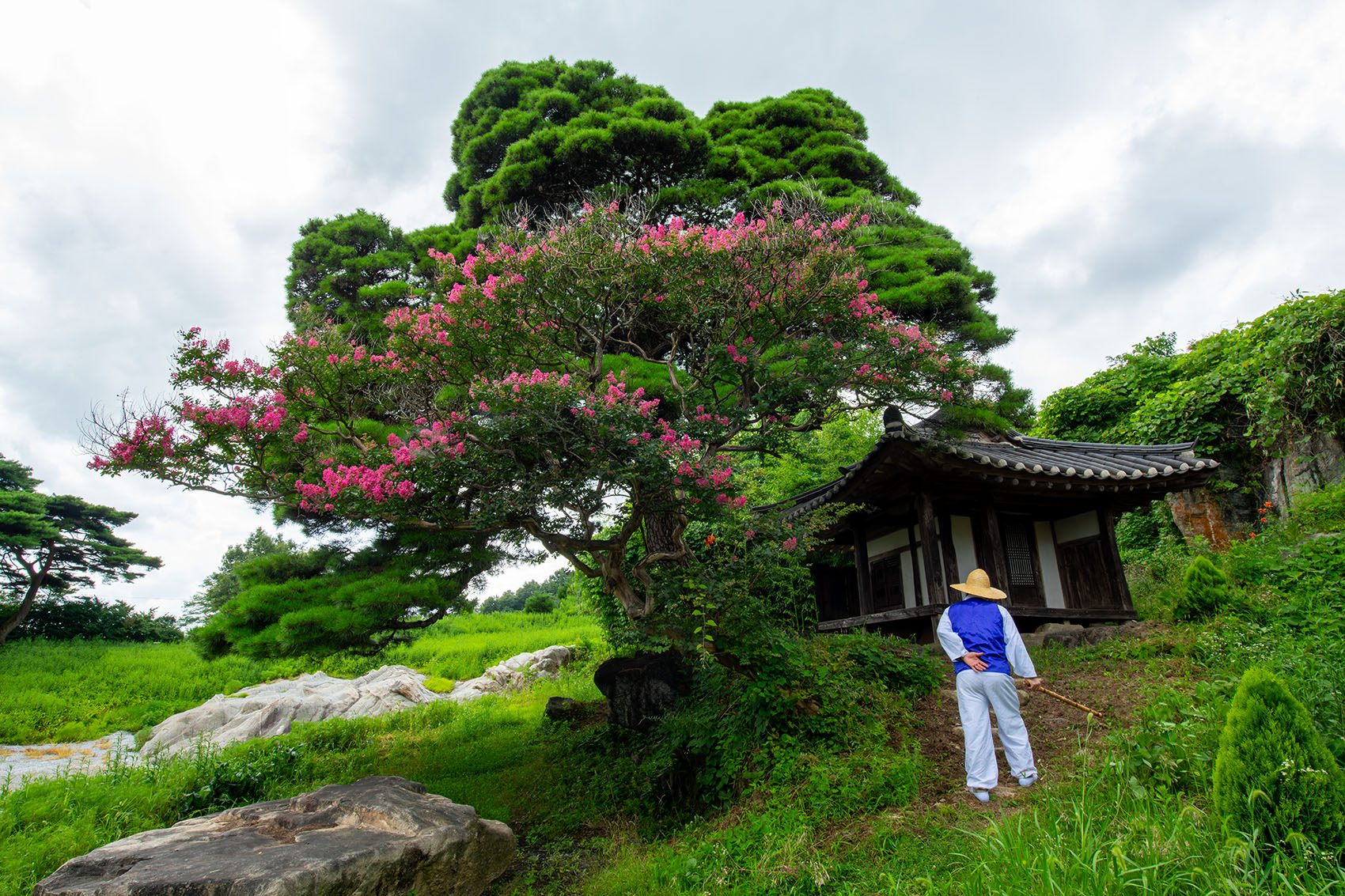 PHOTO BY  | NIKON D850 | 2024:07:27 13:34:24 | ISO-400 | 1/80 sec | f 20 | 19 mm | EV=0 | ● WIDTH:1700 pixels  HEIGHT:1133 pixels