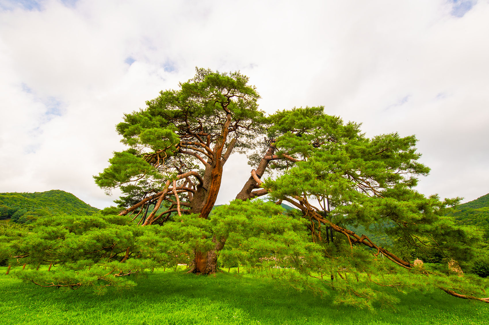 PHOTO BY  | NIKON D850 | 2024:07:27 10:34:25 | ISO-400 | 1/250 sec | f 20 | 16 mm | EV=0 | ● WIDTH:1700 pixels  HEIGHT:1133 pixels