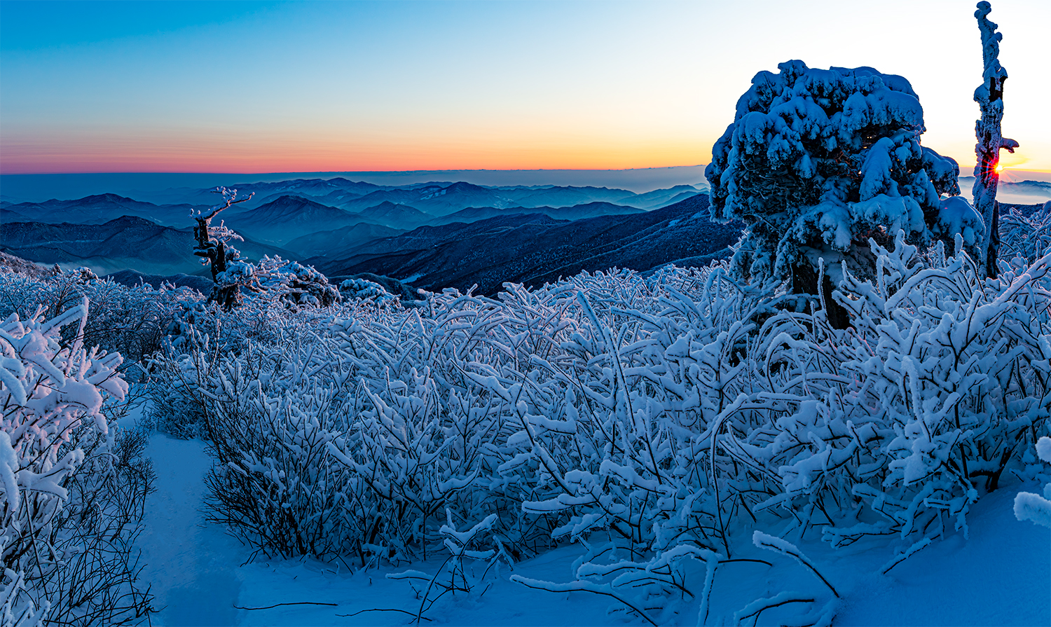 PHOTO BY MINKYUKIM | Canon EOS 5D Mark III | 2024:02:08 06:59:19 | ISO-200 | 1/40 sec | f 8 | 33 mm | EV=0 | ● WIDTH:1500 pixels  HEIGHT:895 pixels