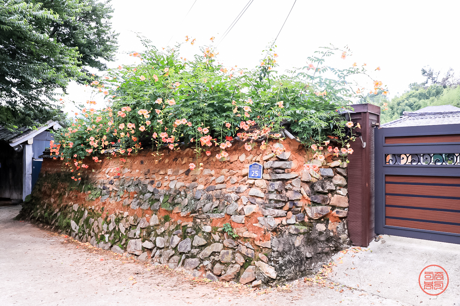 PHOTO BY  | Canon EOS 5D Mark IV | 2024:07:12 15:06:49 | ISO-800 | 1/160 sec | f 8 | 28 mm | EV=0 | ● WIDTH:1520 pixels  HEIGHT:1011 pixels