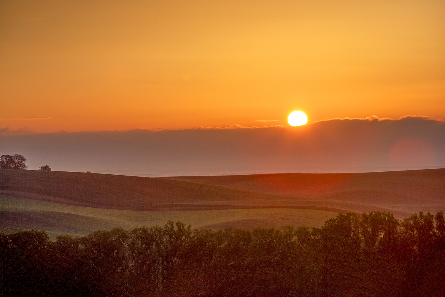 PHOTO BY  | CanonCanon  |  | ISO- |  |  |  | EV=0 | ● WIDTH:  HEIGHT: