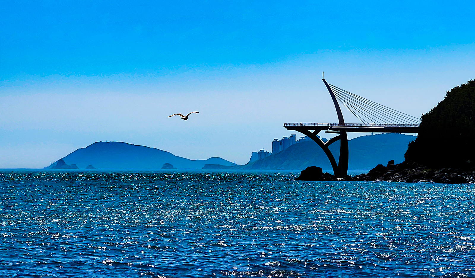 PHOTO BY  | SM-S908N | 2024:07:31 13:33:26 | ISO-40 | 24771/100000000 sec | f 2.4 | 7.9 mm | EV=0 | ● WIDTH:1600 pixels  HEIGHT:938 pixels