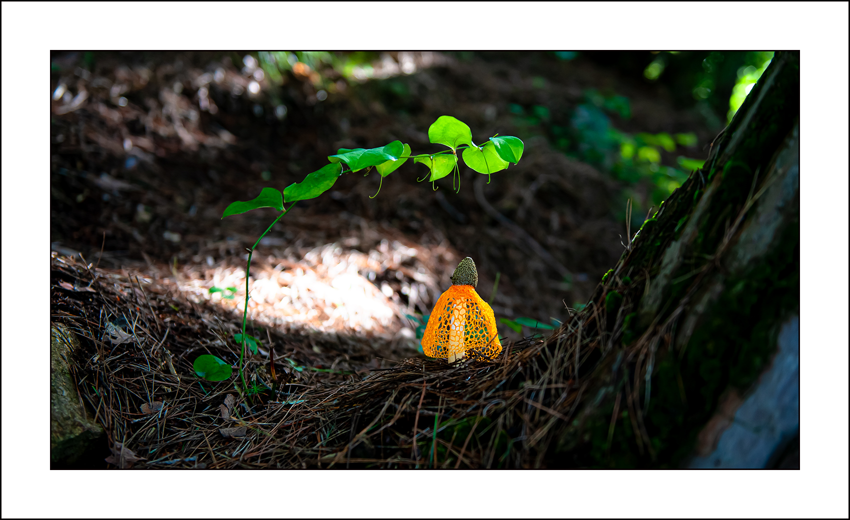   | PHOTO BY : Photo No Data |