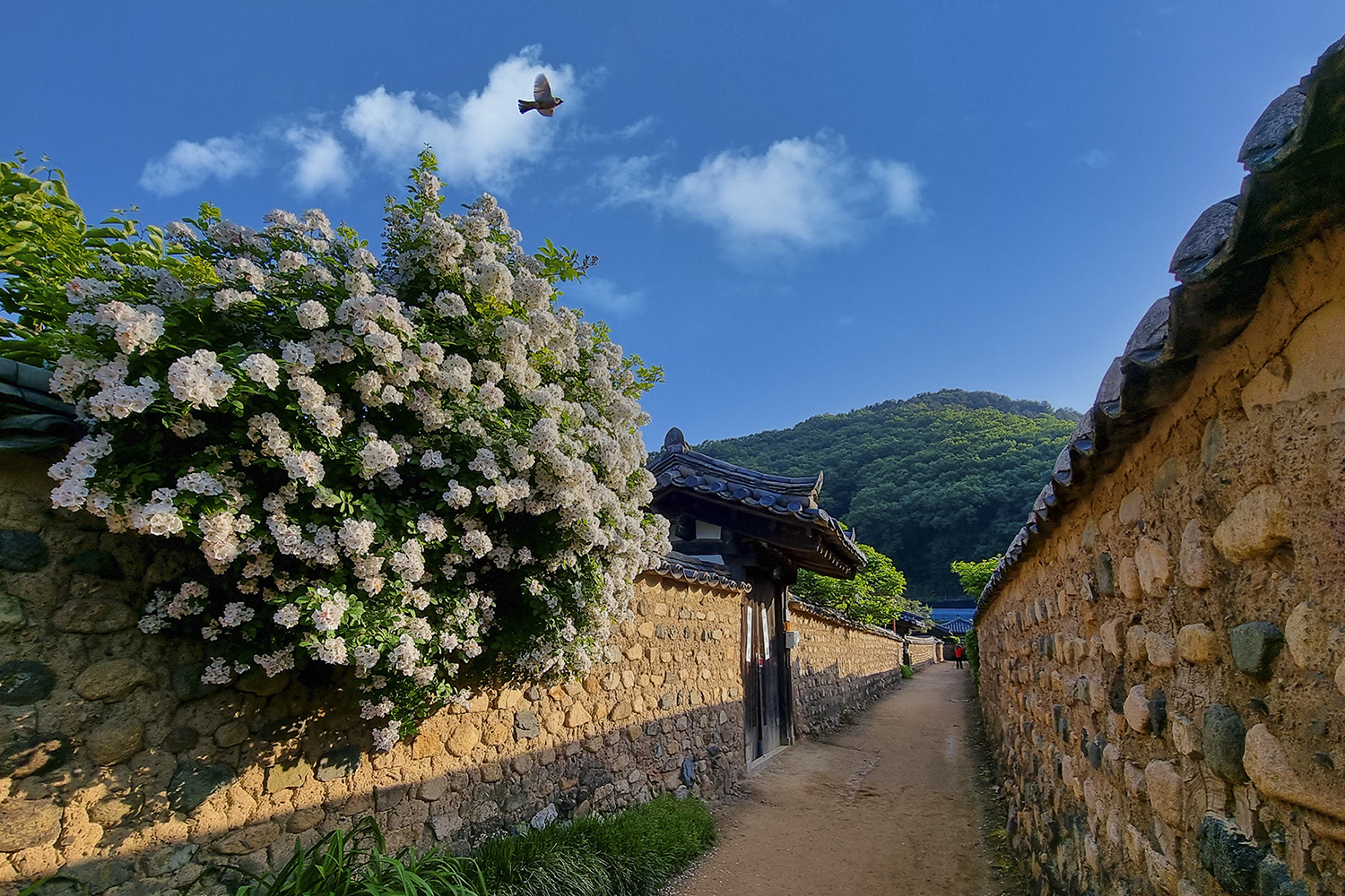 PHOTO BY  | s |  | ISO- |  |  |  | EV=0 | ● WIDTH:  HEIGHT: