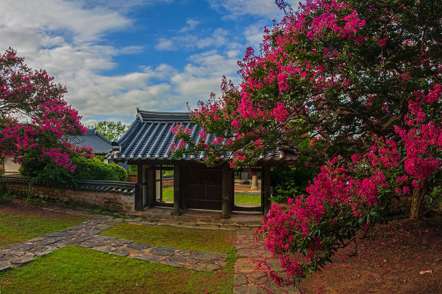 PHOTO BY  | NIKON D850 | 2024:08:01 07:44:22 | ISO-400 | 1/60 sec | f 11 | 28 mm | EV=-0.7 | ● WIDTH:1500 pixels  HEIGHT:1000 pixels