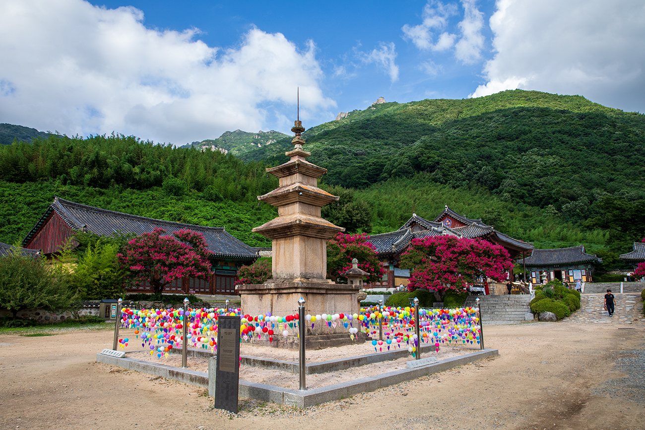 PHOTO BY  | Canon EOS 5D Mark IV | 2024:07:27 16:36:16 | ISO-320 | 1/320 sec | f 10 | 24 mm | EV=0 | ● WIDTH:1300 pixels  HEIGHT:867 pixels