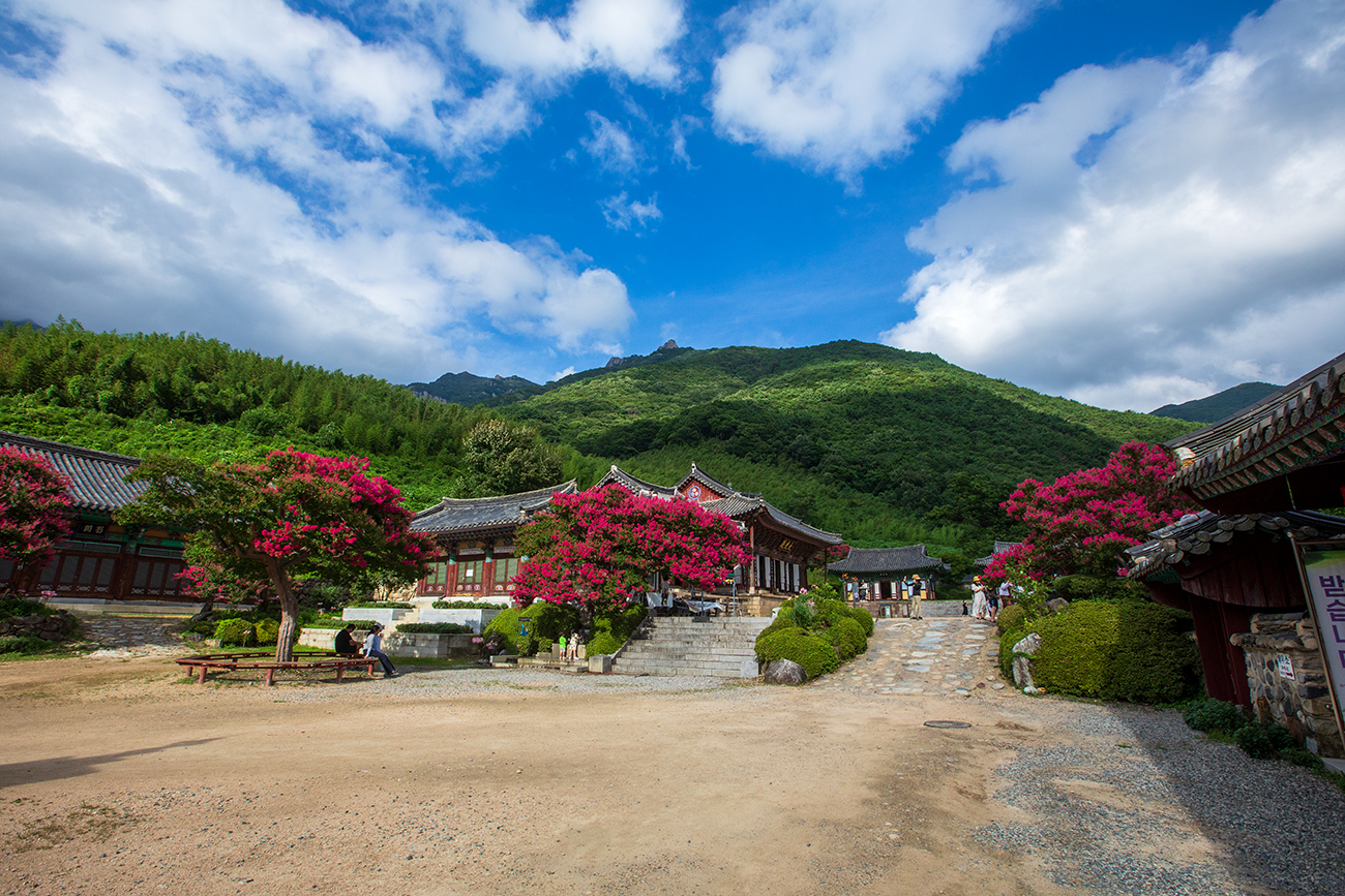 PHOTO BY  | Canon EOS 5D Mark IV | 2024:07:27 16:41:32 | ISO-320 | 1/800 sec | f 10 | 16 mm | EV=0 | ● WIDTH:1300 pixels  HEIGHT:867 pixels