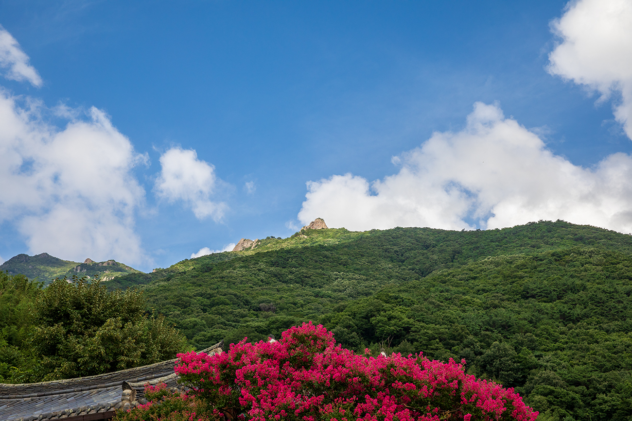 PHOTO BY  | Canon EOS 5D Mark IV | 2024:07:27 16:17:22 | ISO-320 | 1/500 sec | f 10 | 47 mm | EV=0 | ● WIDTH:1300 pixels  HEIGHT:867 pixels