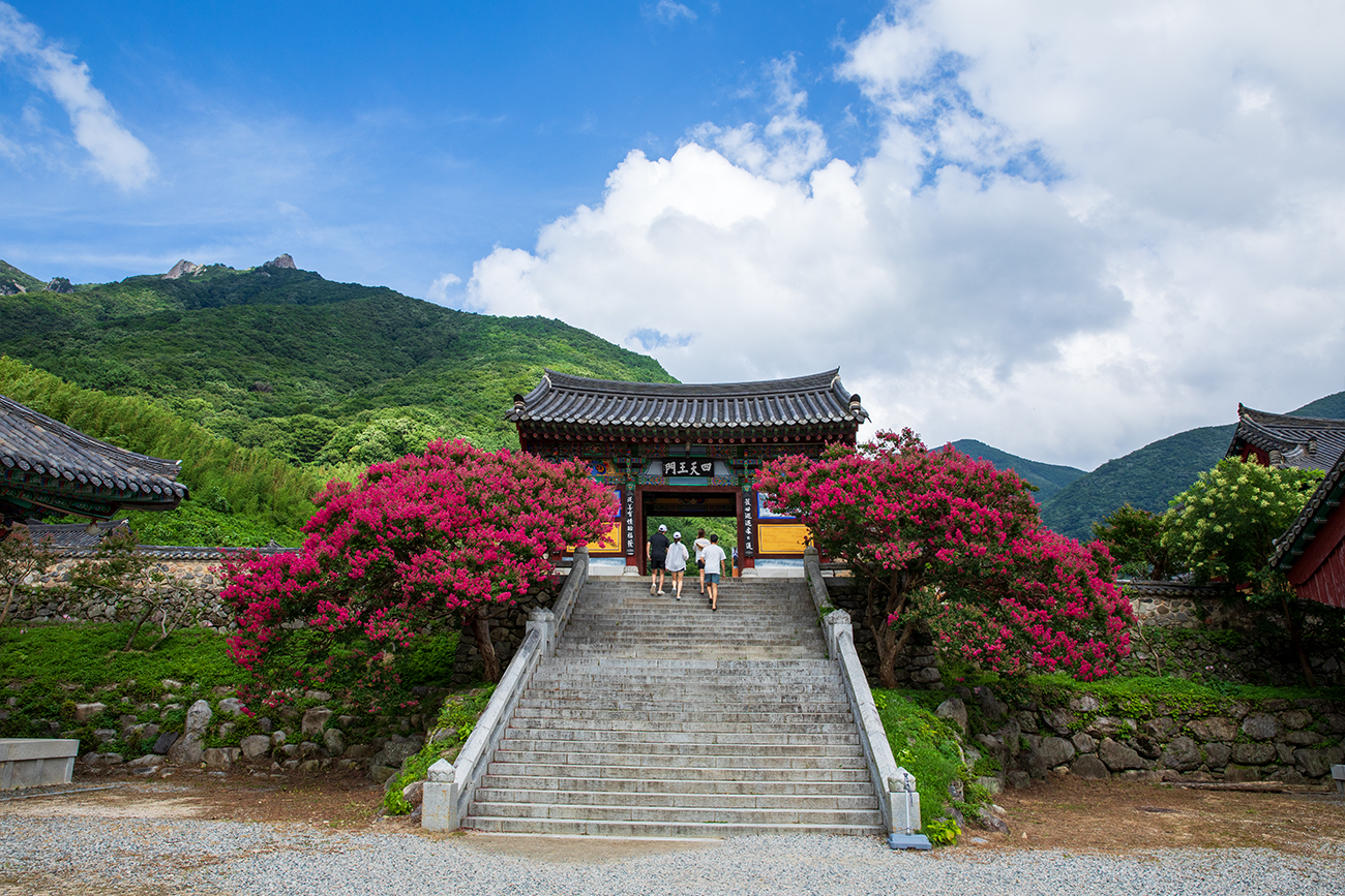 PHOTO BY  | Canon EOS 5D Mark IV | 2024:07:27 15:52:46 | ISO-200 | 1/250 sec | f 10 | 24 mm | EV=0 | ● WIDTH:1300 pixels  HEIGHT:867 pixels