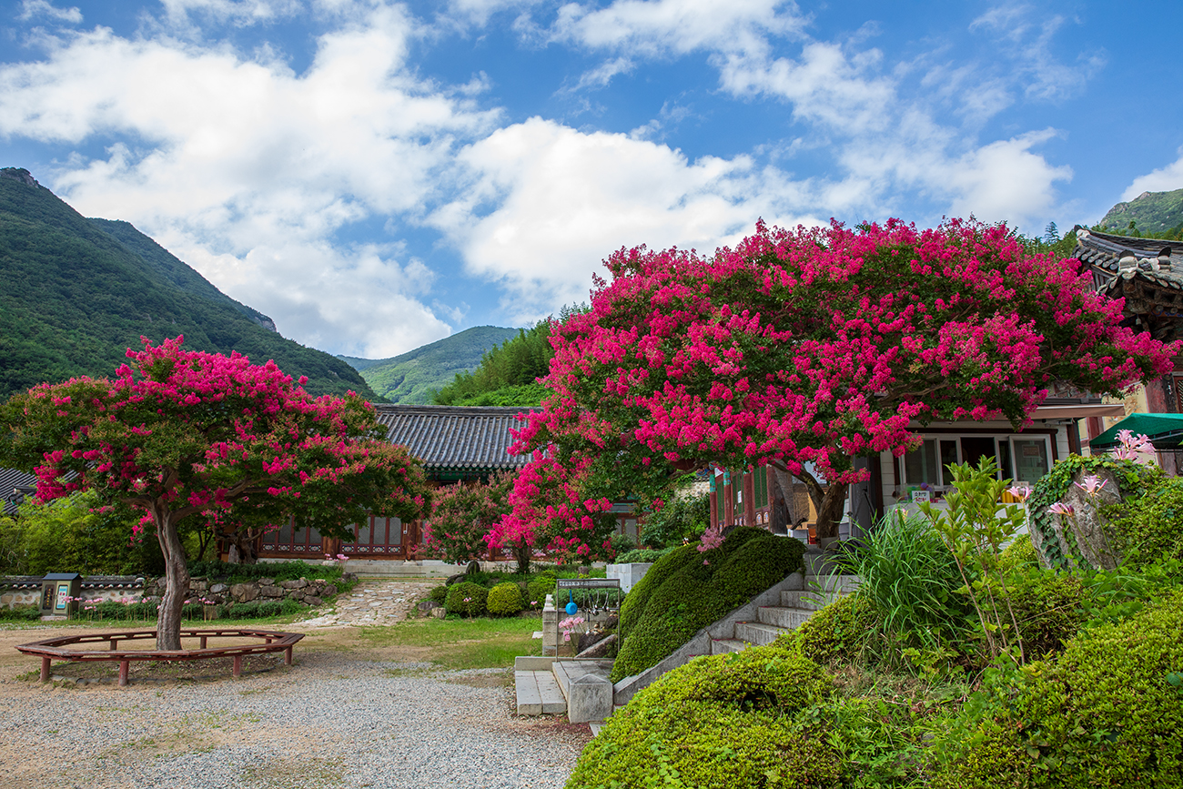 PHOTO BY  | Canon EOS 5D Mark IV | 2024:07:27 16:05:09 | ISO-320 | 1/250 sec | f 10 | 24 mm | EV=0 | ● WIDTH:1300 pixels  HEIGHT:867 pixels